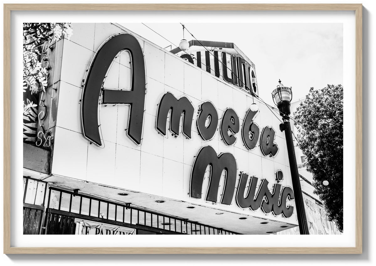 Amoeba Records
