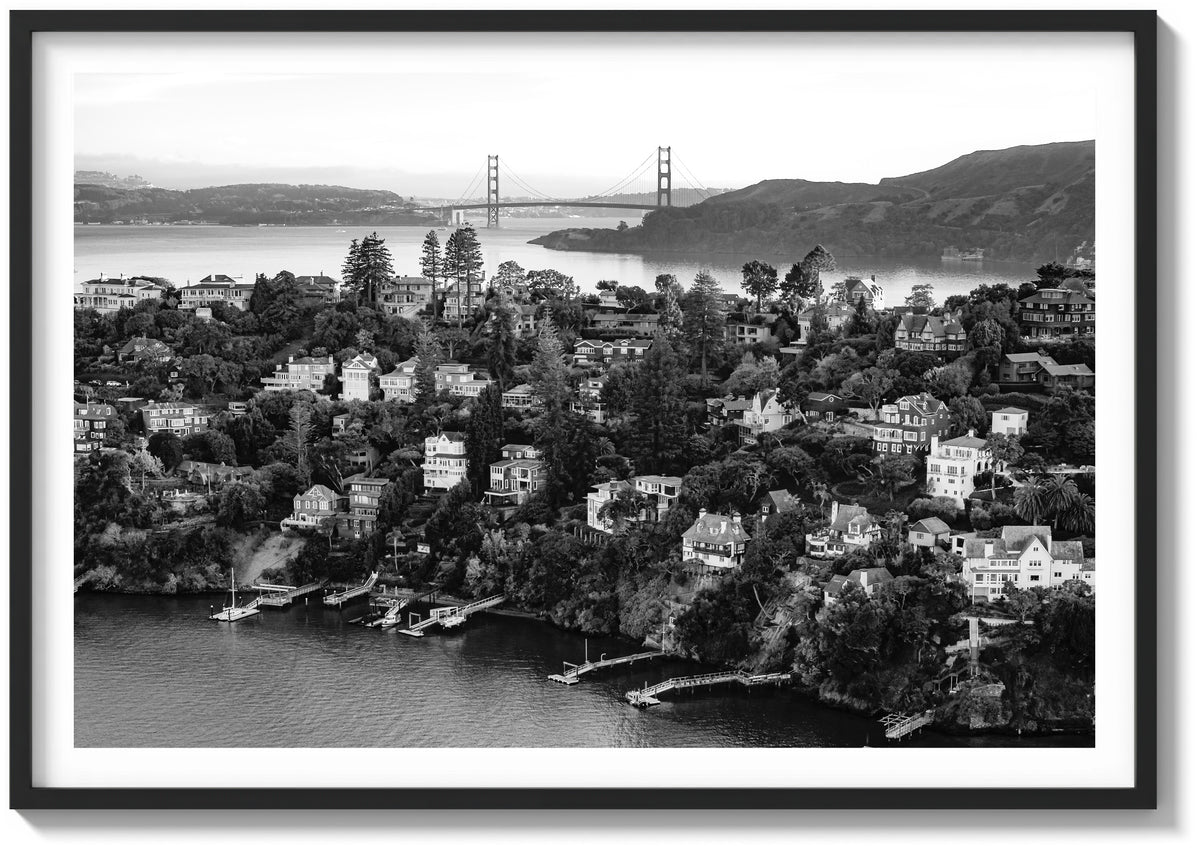 Tiburon