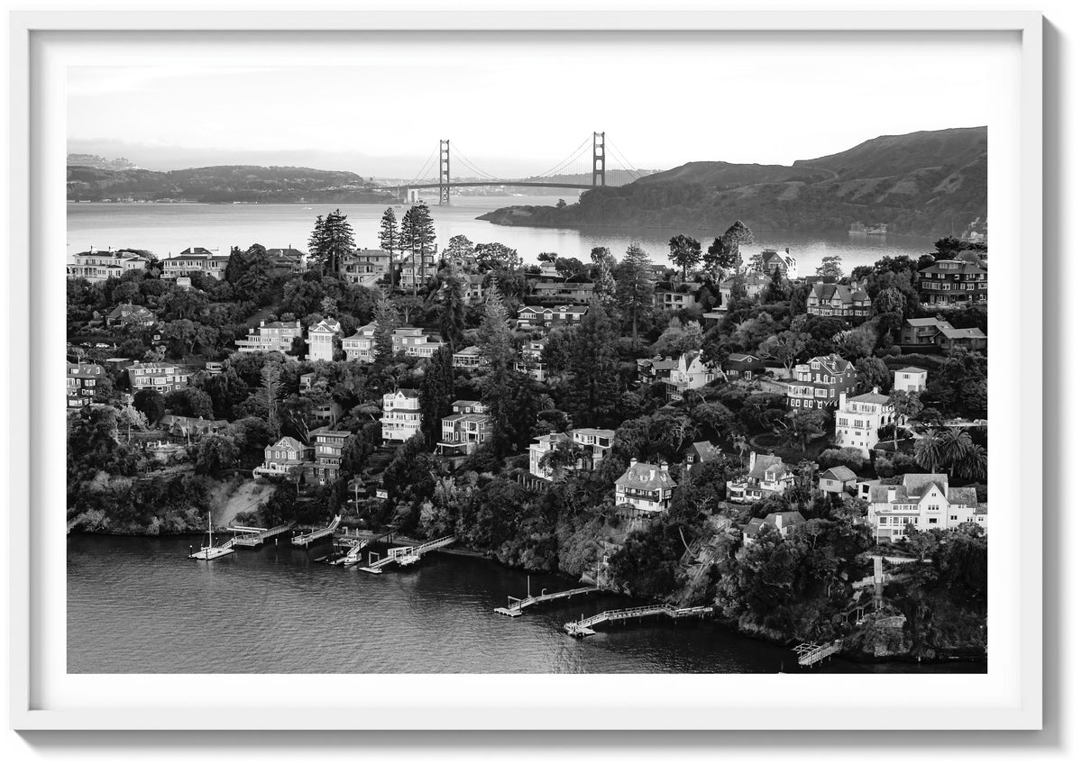 Tiburon