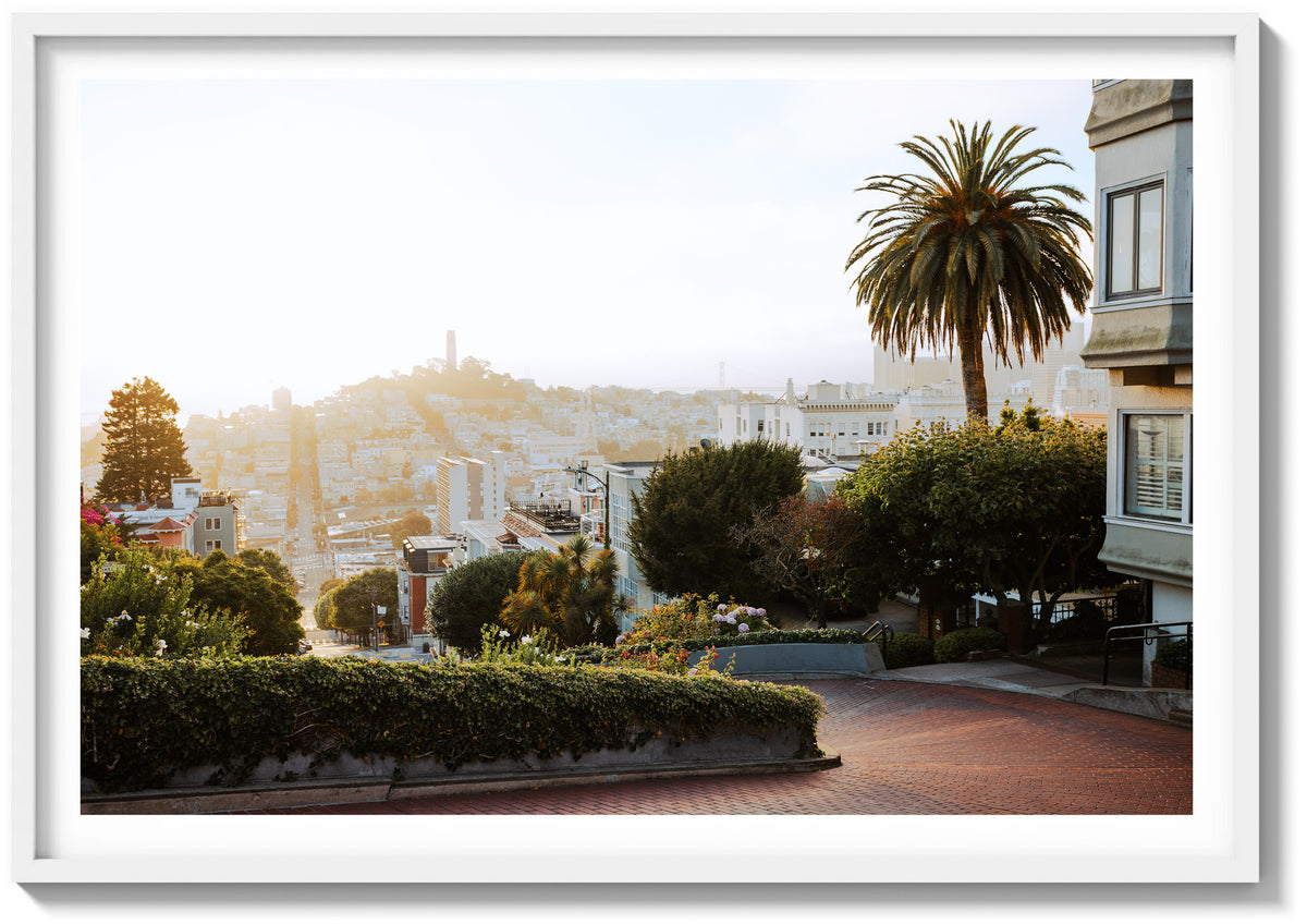 Lombard in Golden Light