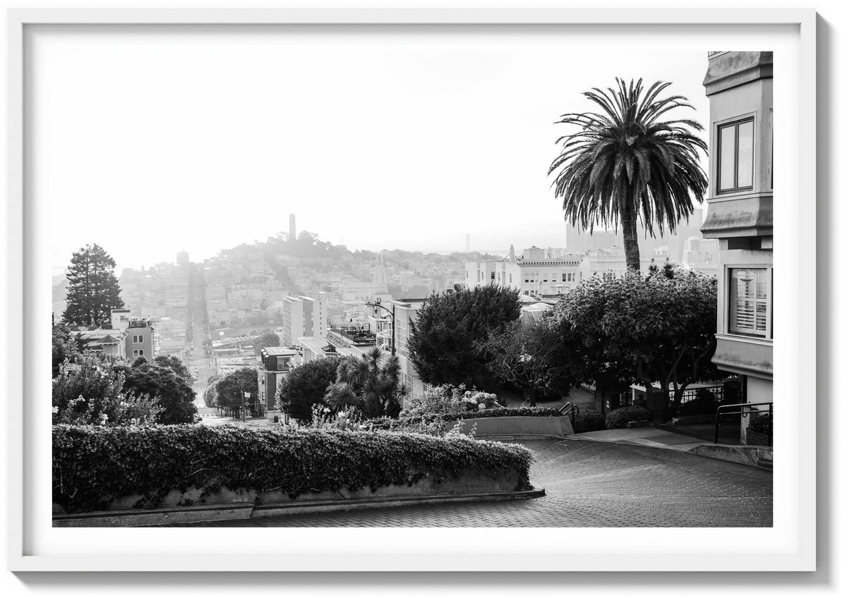Lombard in Golden Light