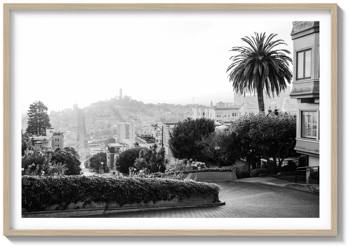 Lombard in Golden Light