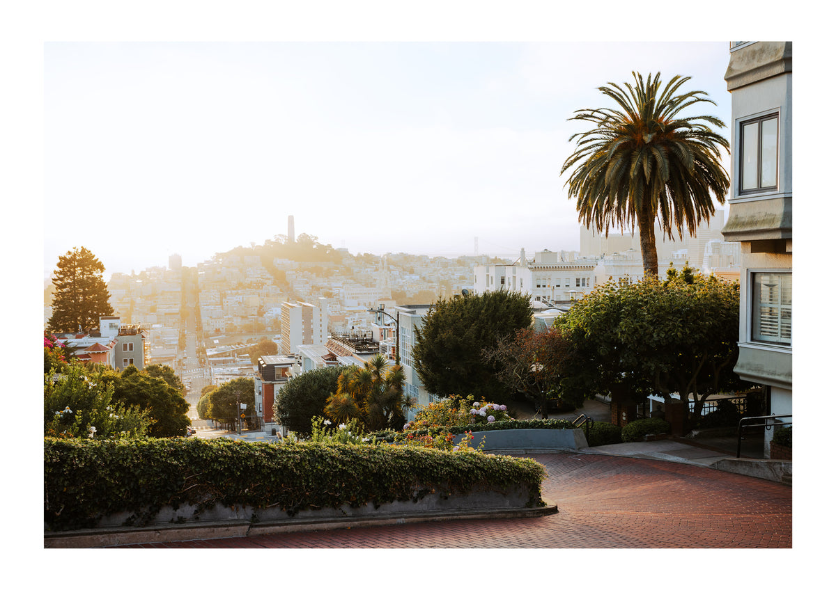 Lombard in Golden Light
