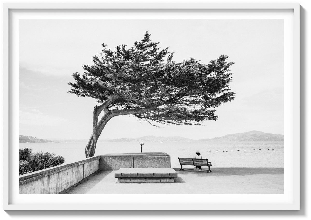 Quiet Moment on the Bay