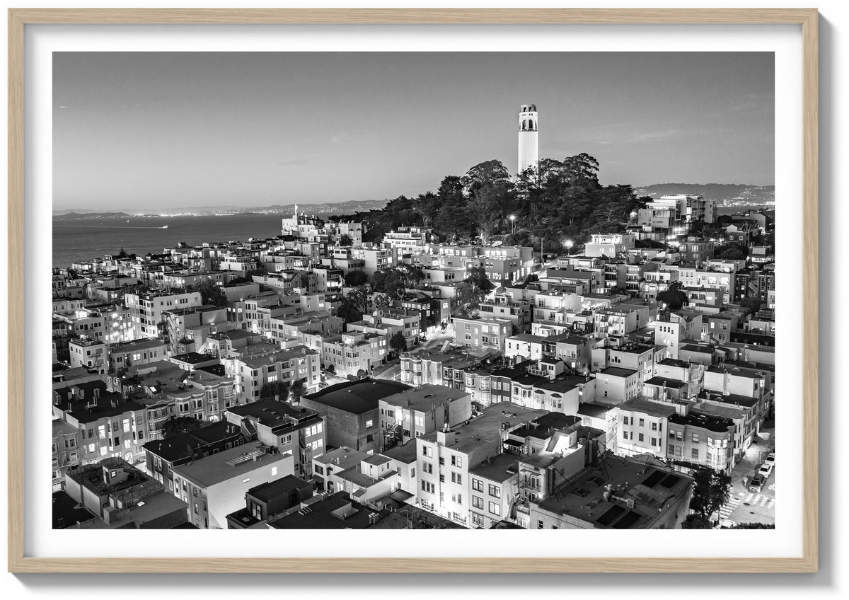 North Beach Illuminated