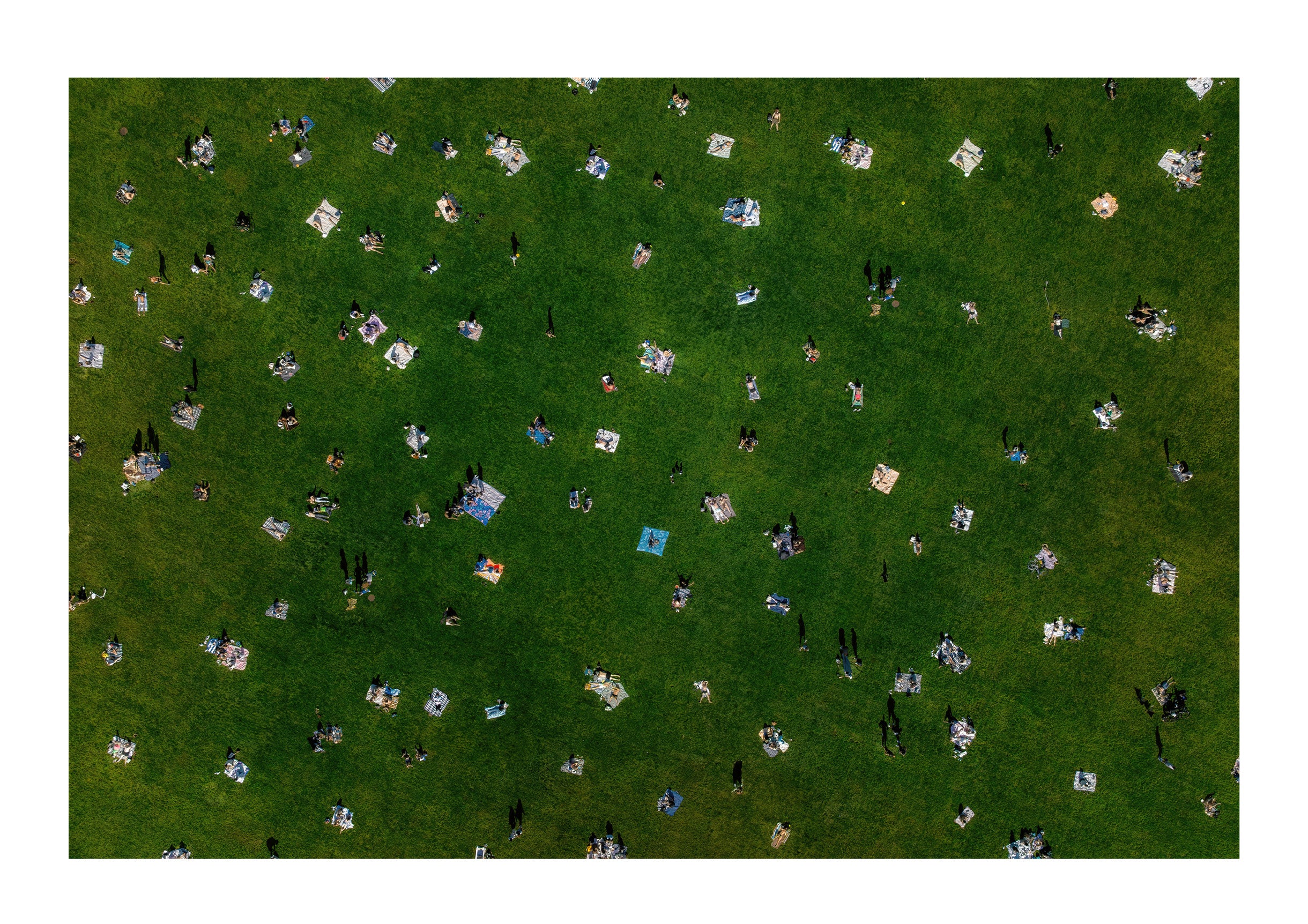 Sheep Meadow Sunbathers