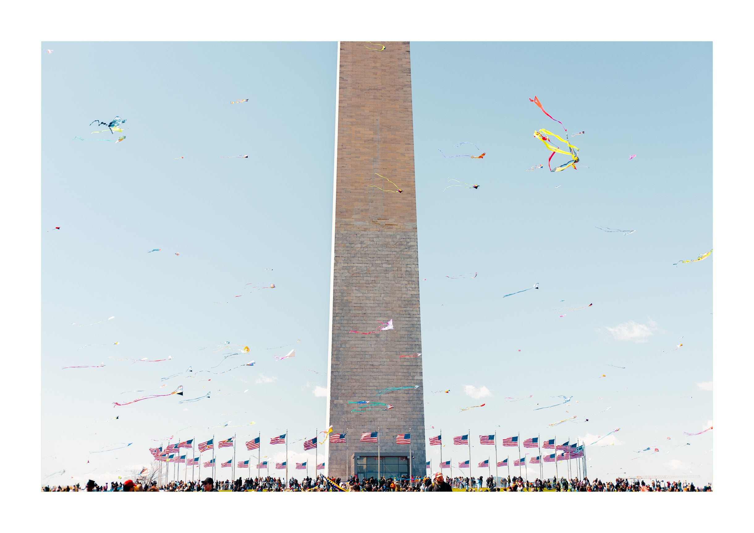 Spring in DC