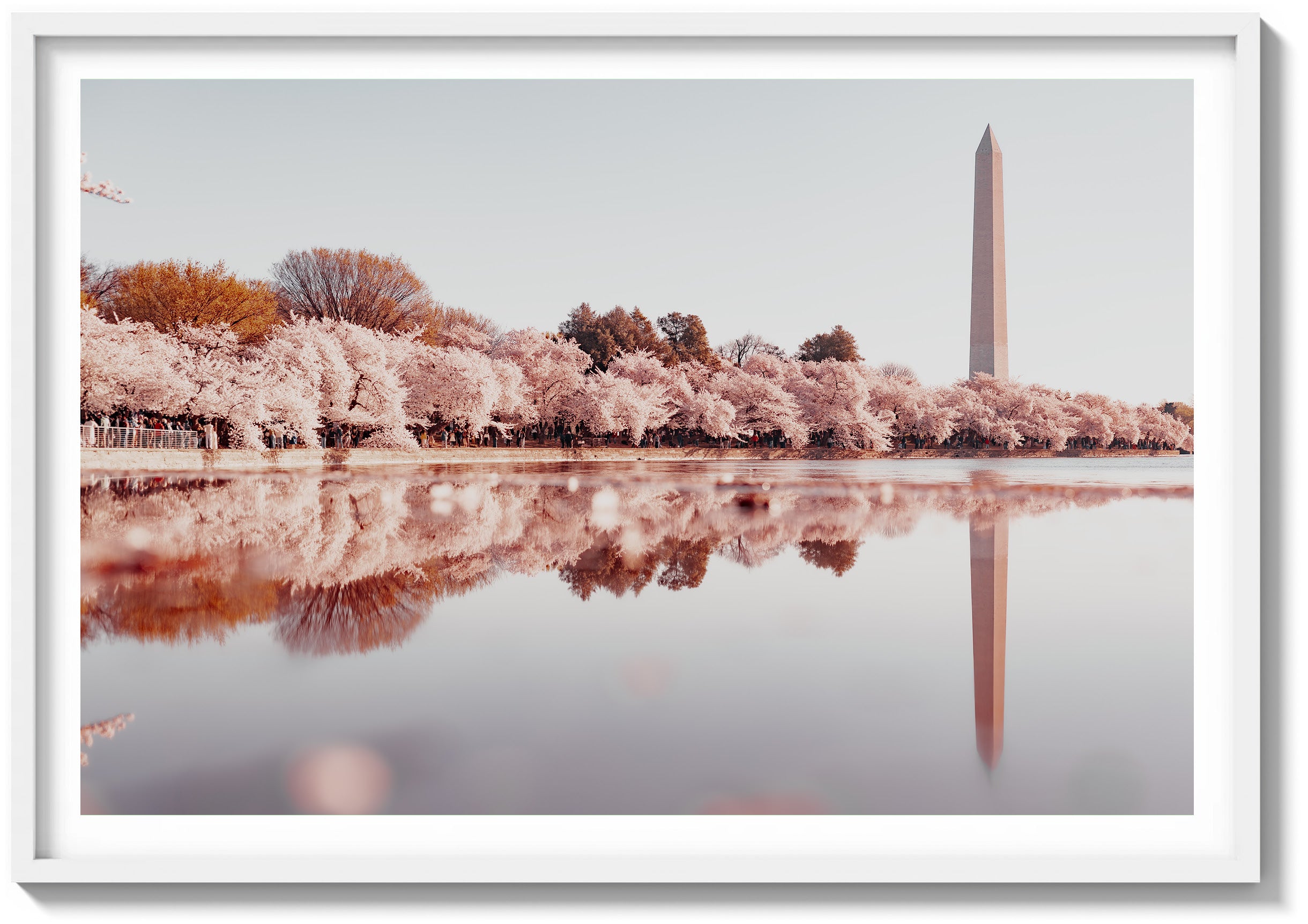 Monument Reflection