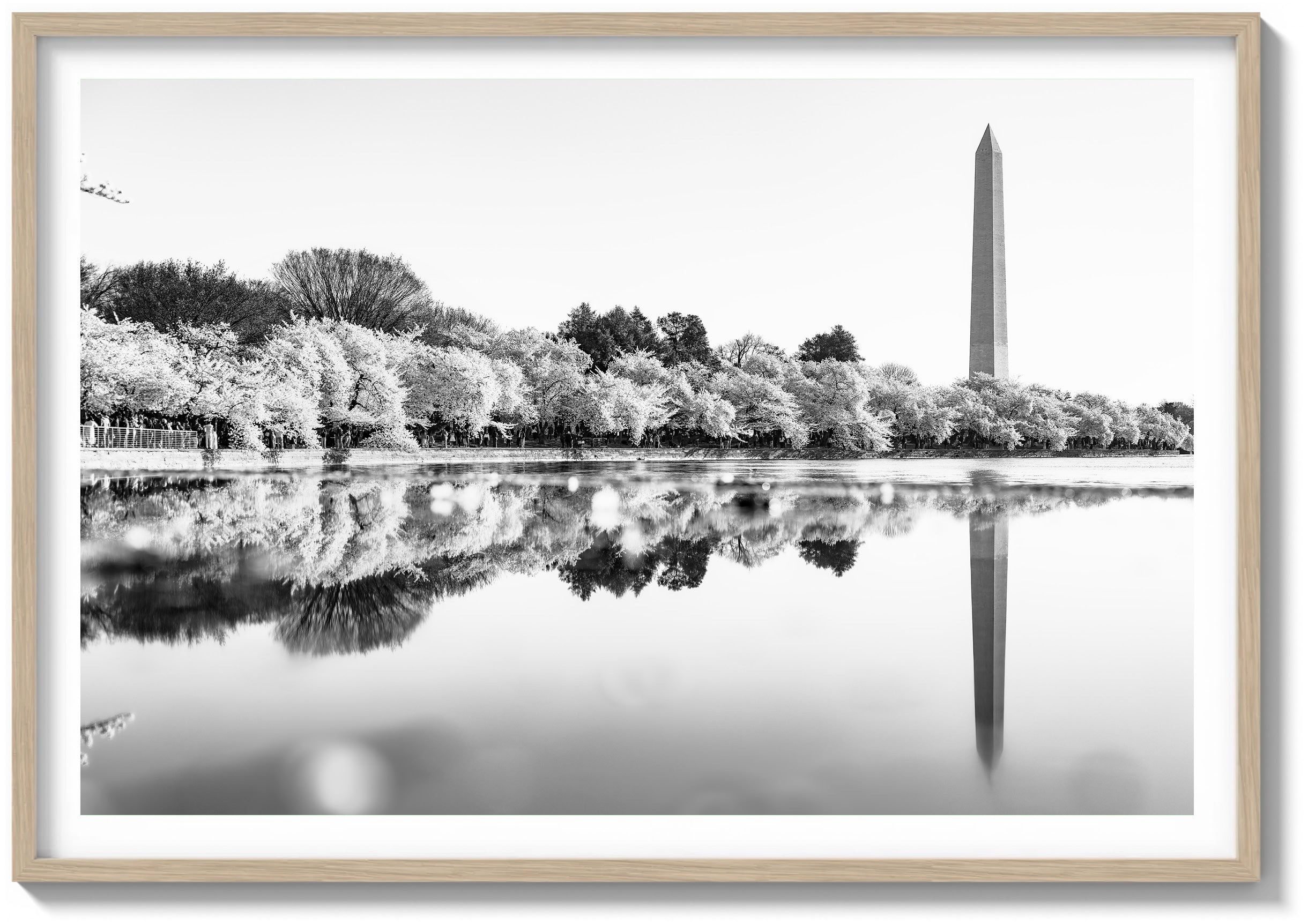 Monument Reflection