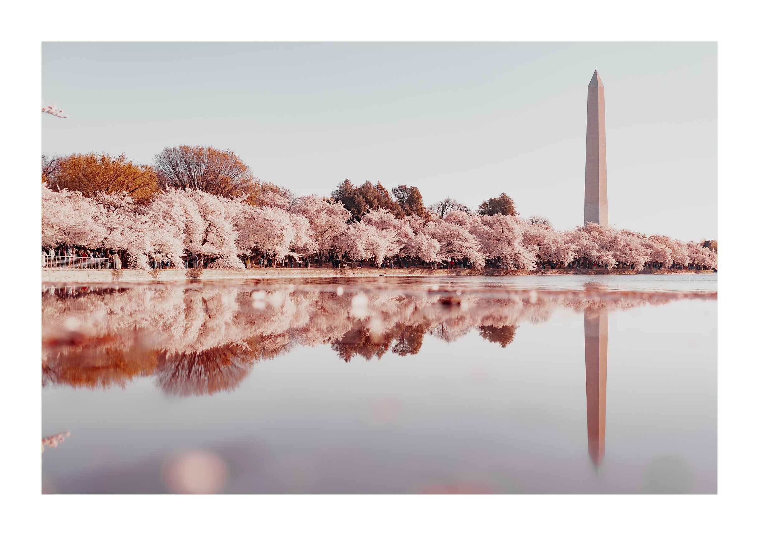 Monument Reflection