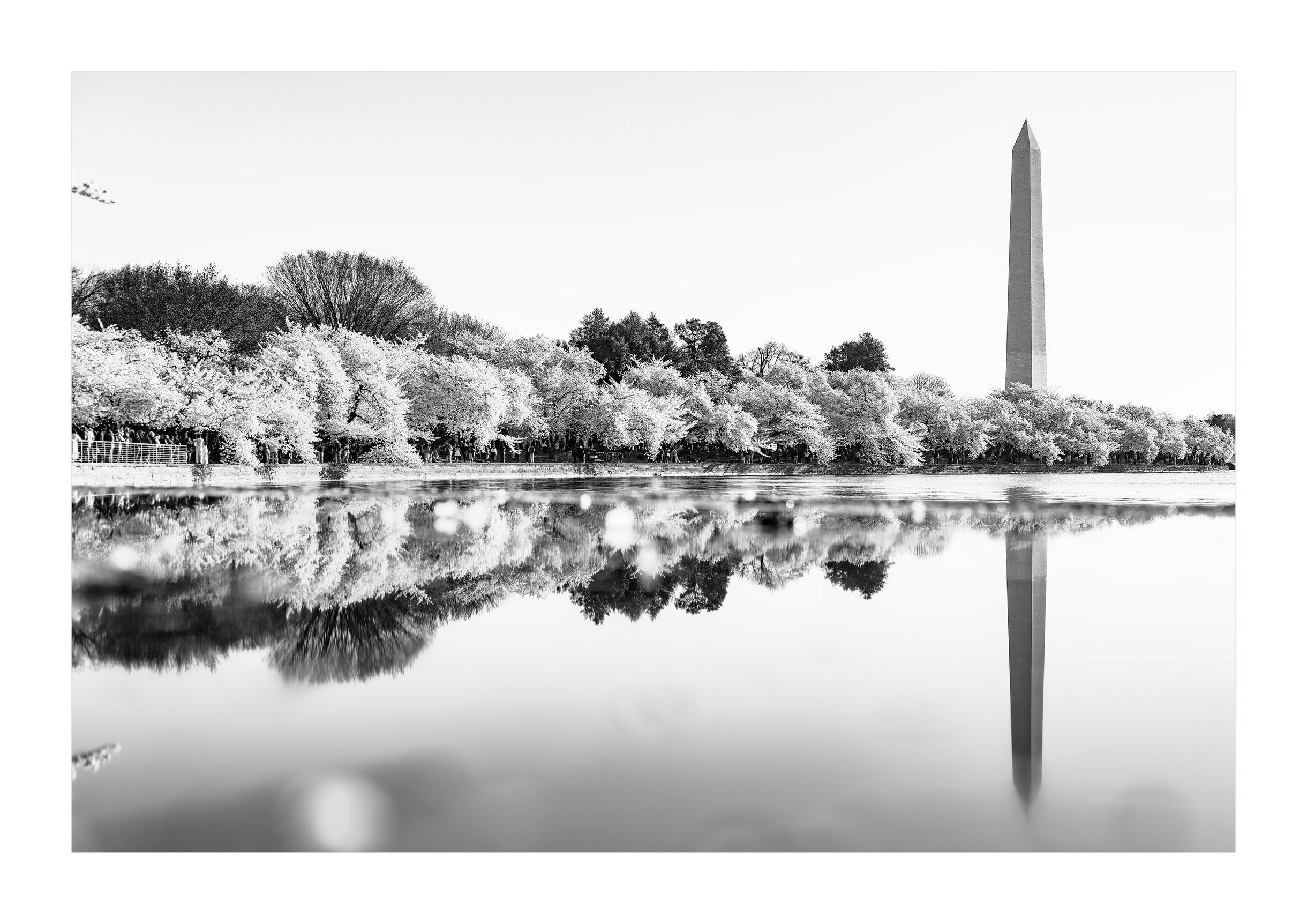 Monument Reflection