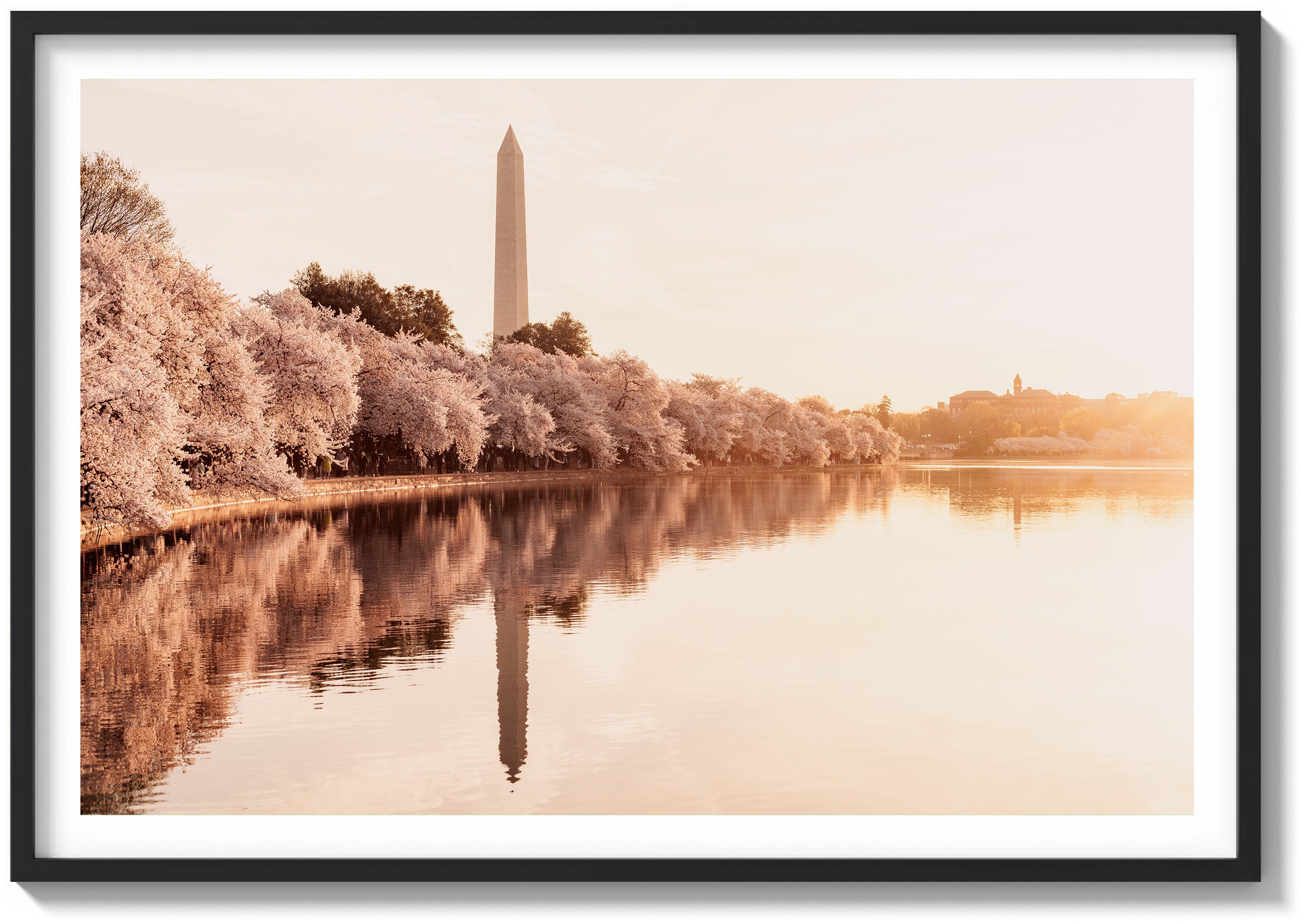 Dawn Reflections