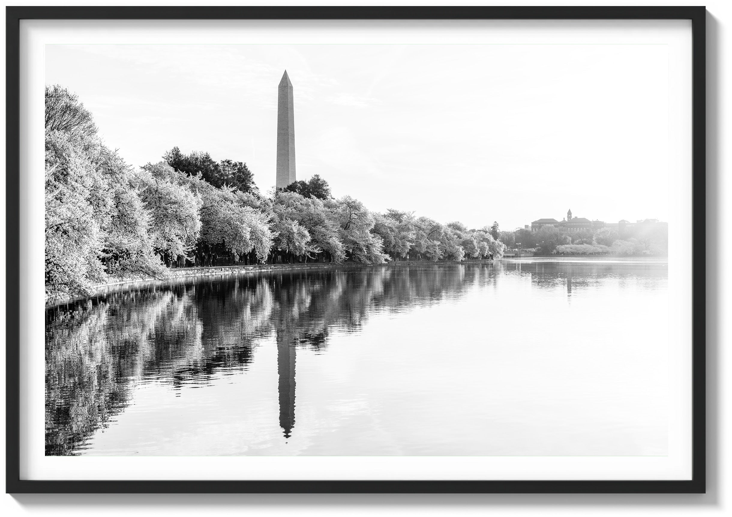 Dawn Reflections