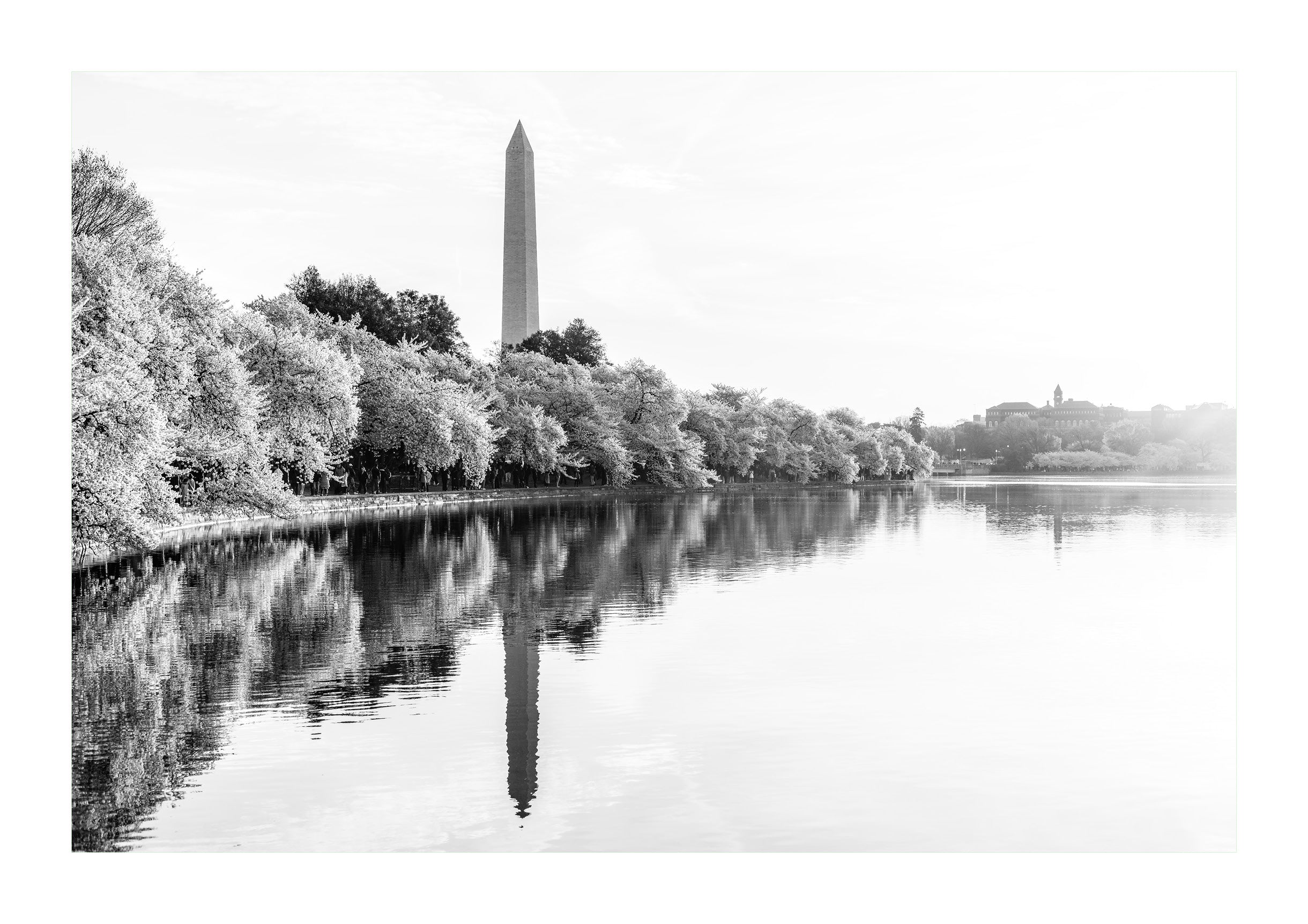 Dawn Reflections