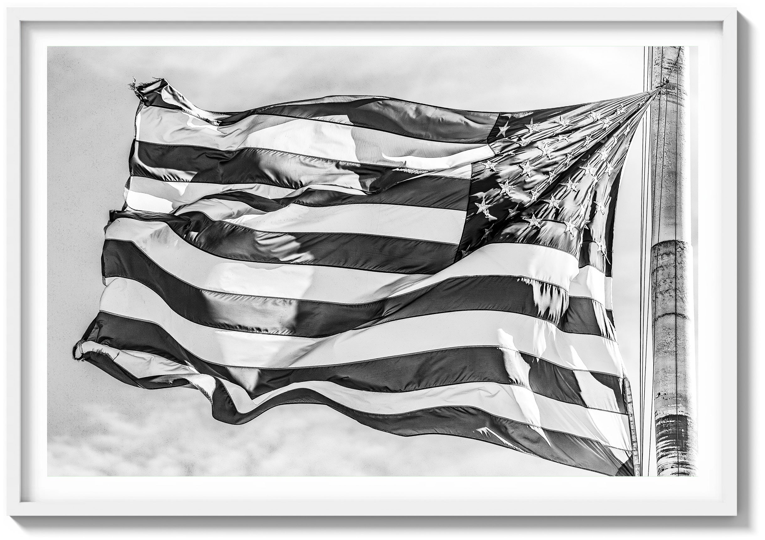 Stars & Stripes