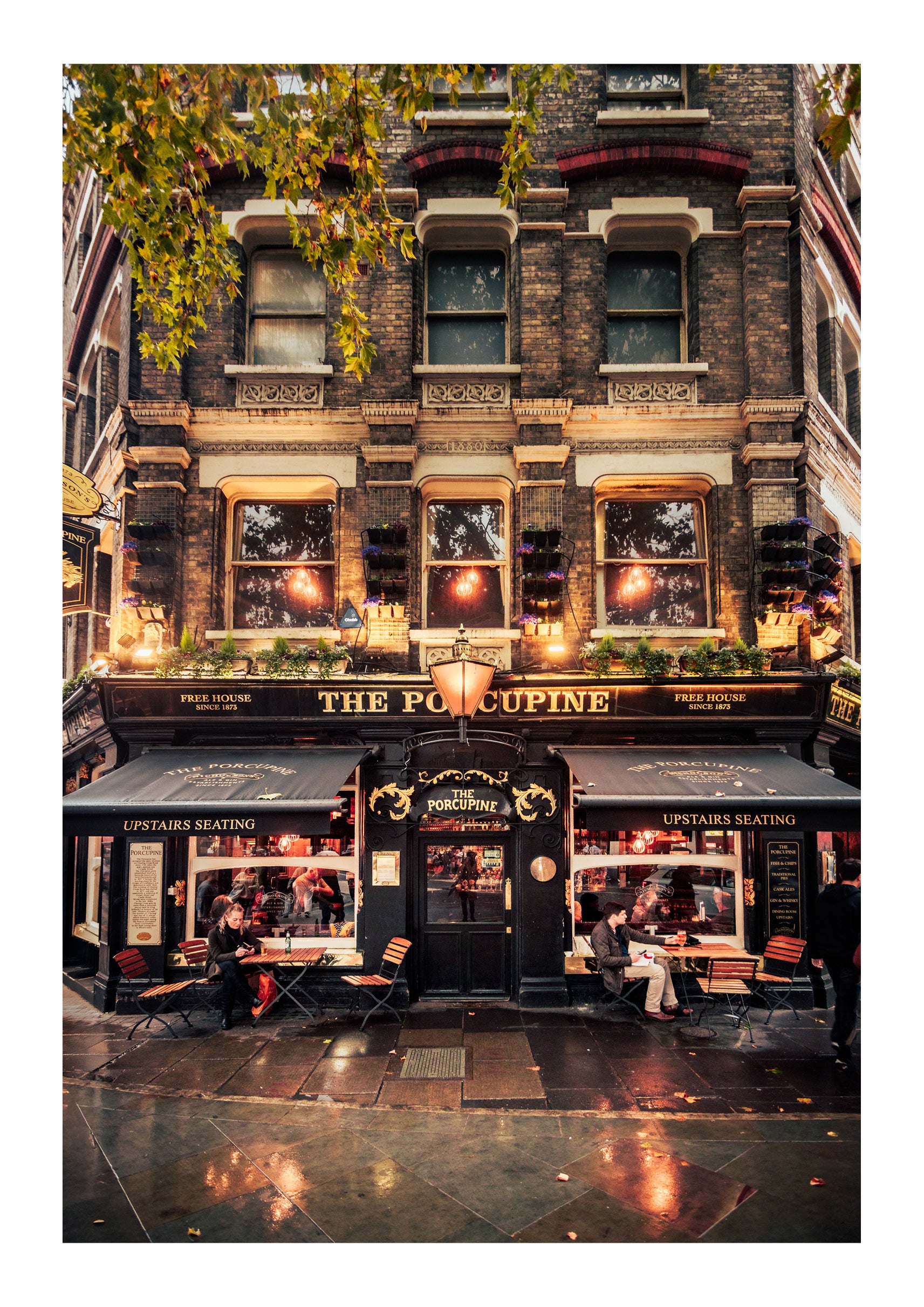 Happy Hour At The Porcupine