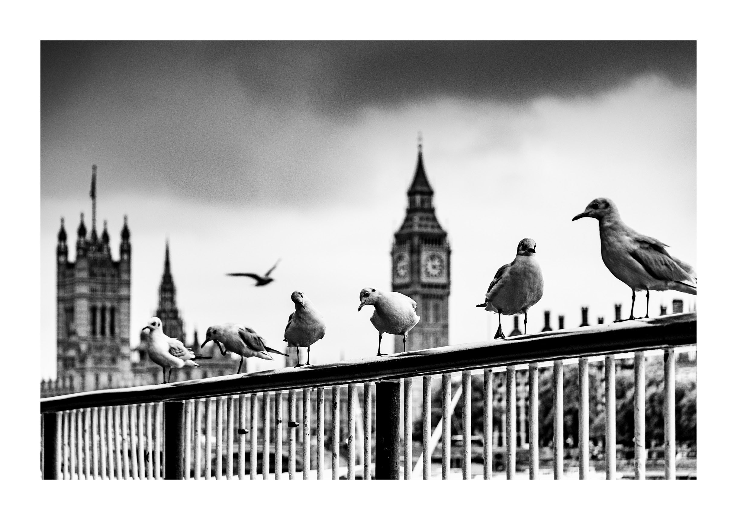 Eyes of the Thames