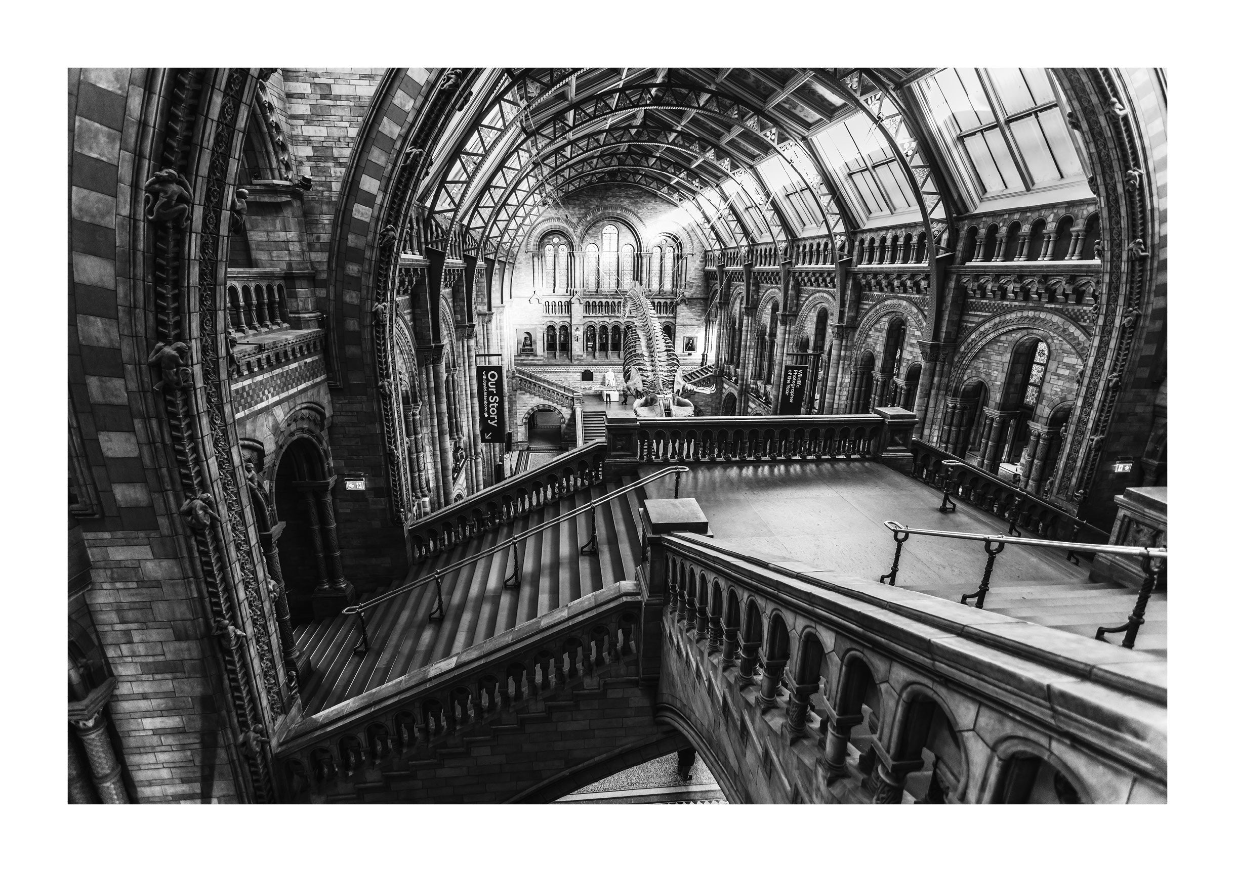 Ascending the History Museum