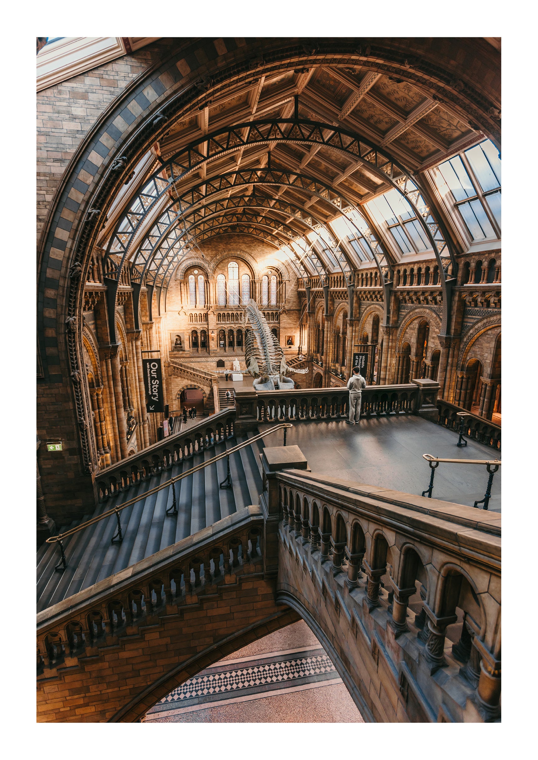 First Light at the Museum