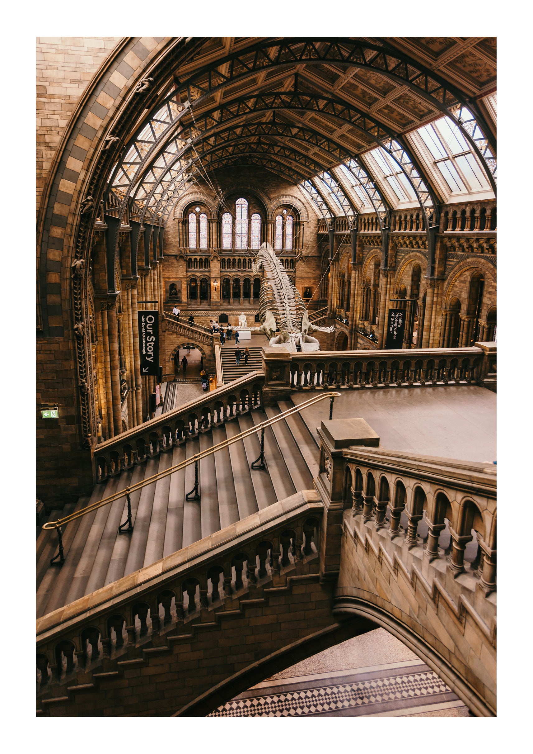 Natural History Museum