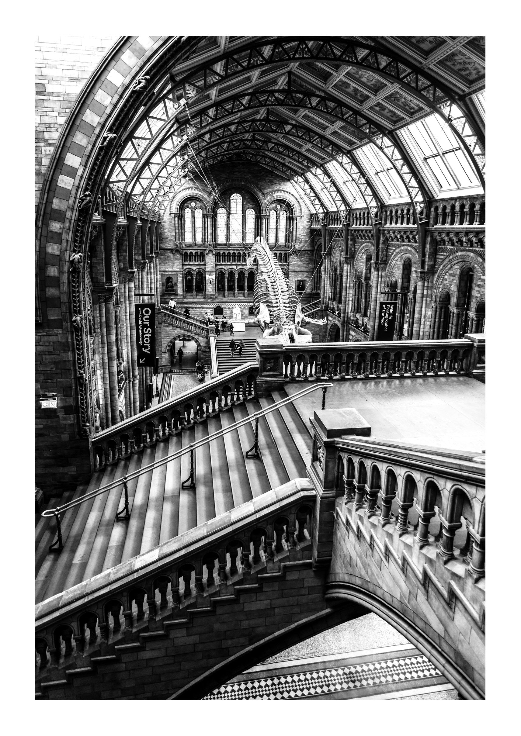 Natural History Museum