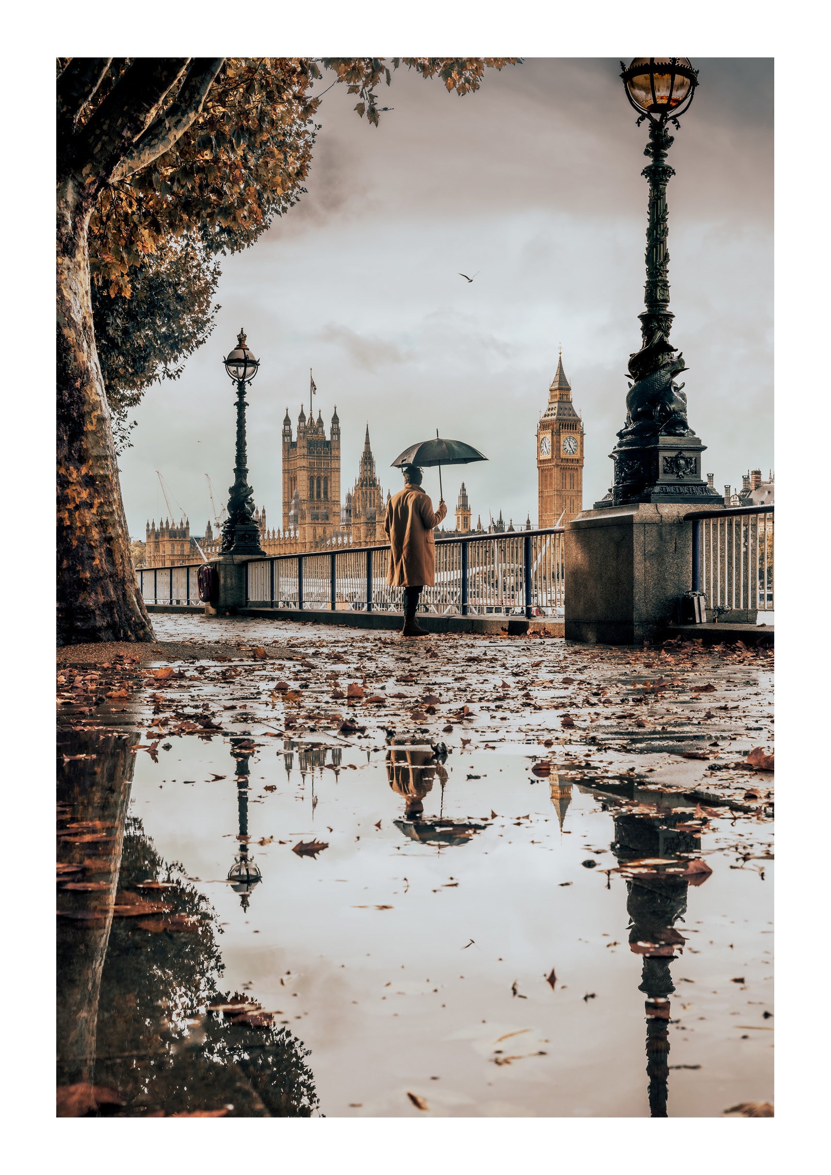 Riverwalk Reflections