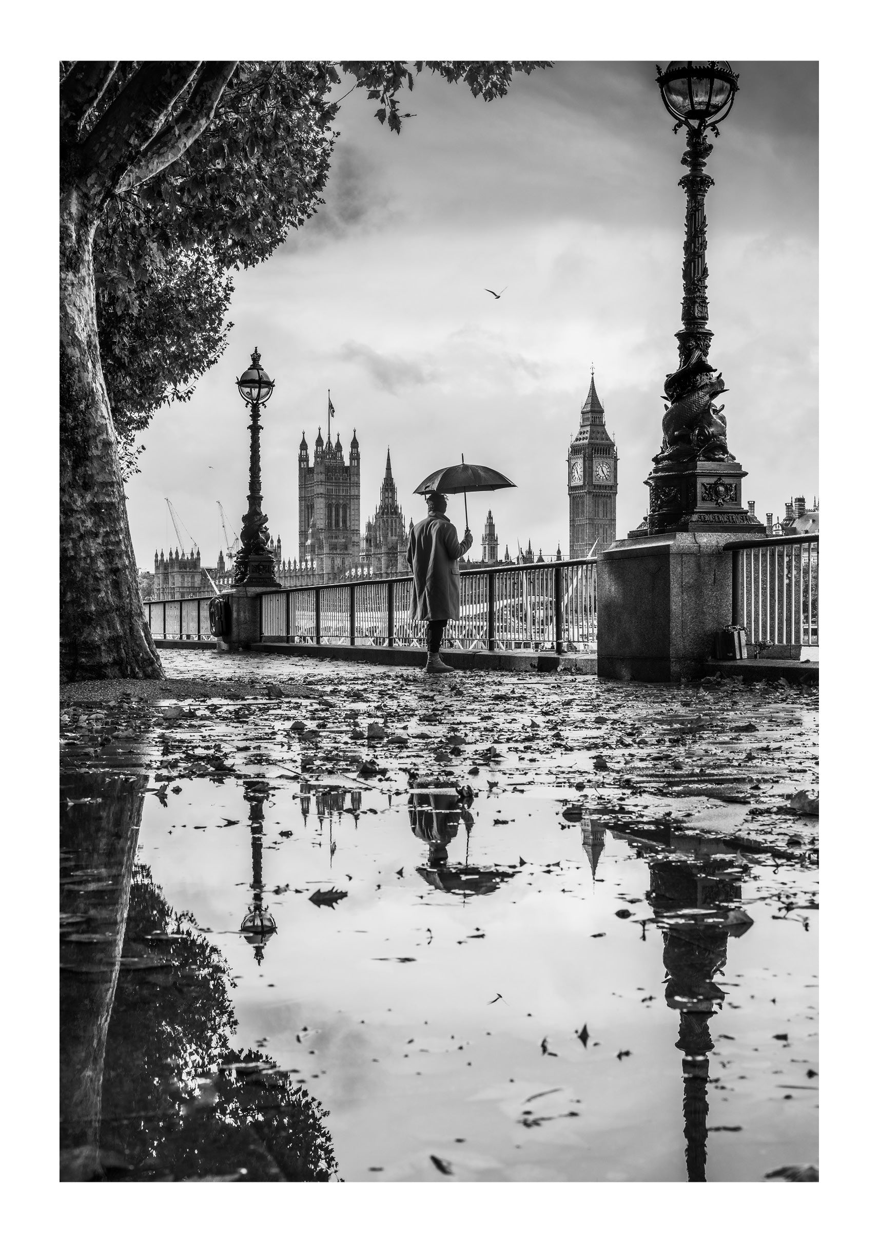 Riverwalk Reflections