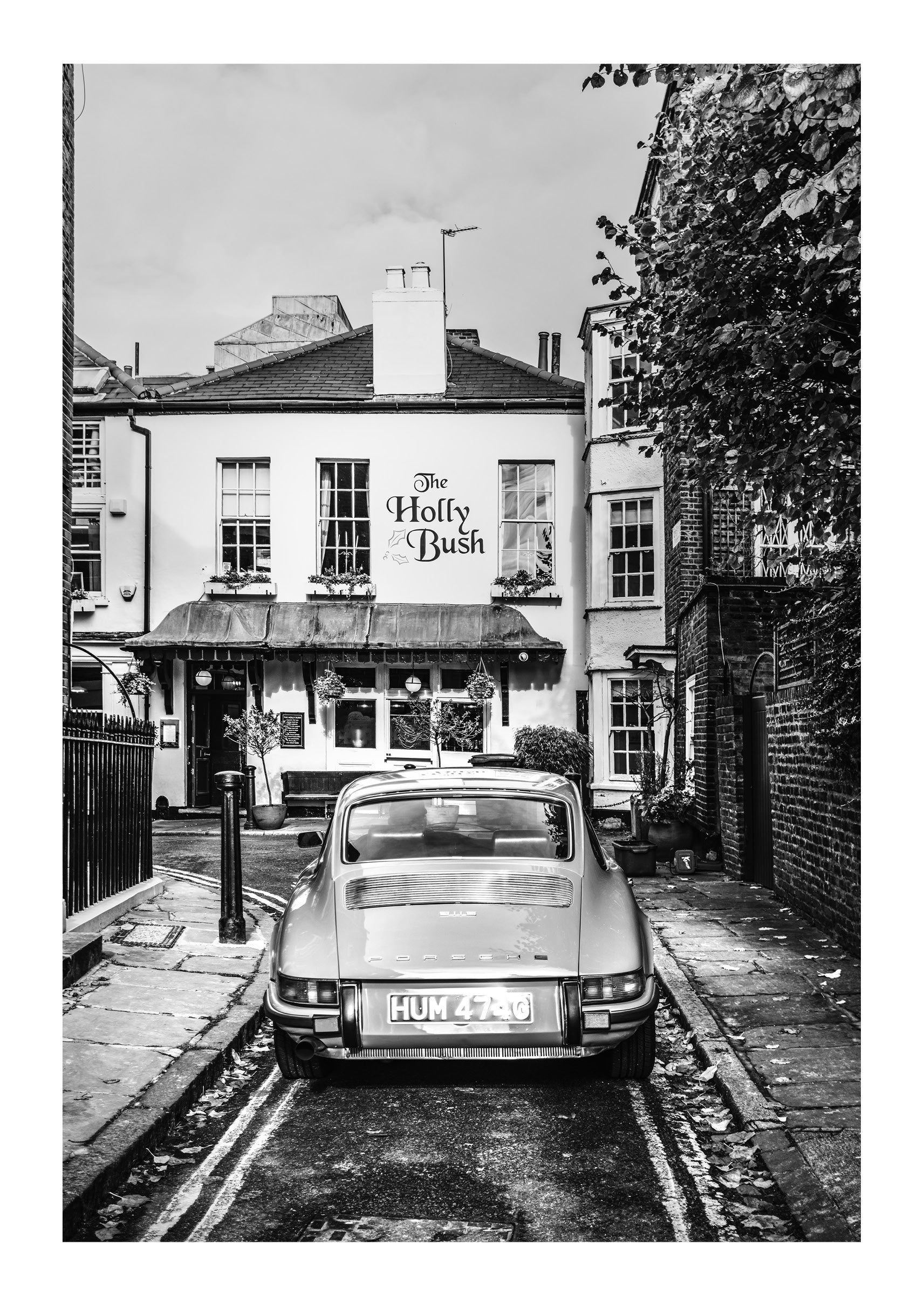 The Holly Bush