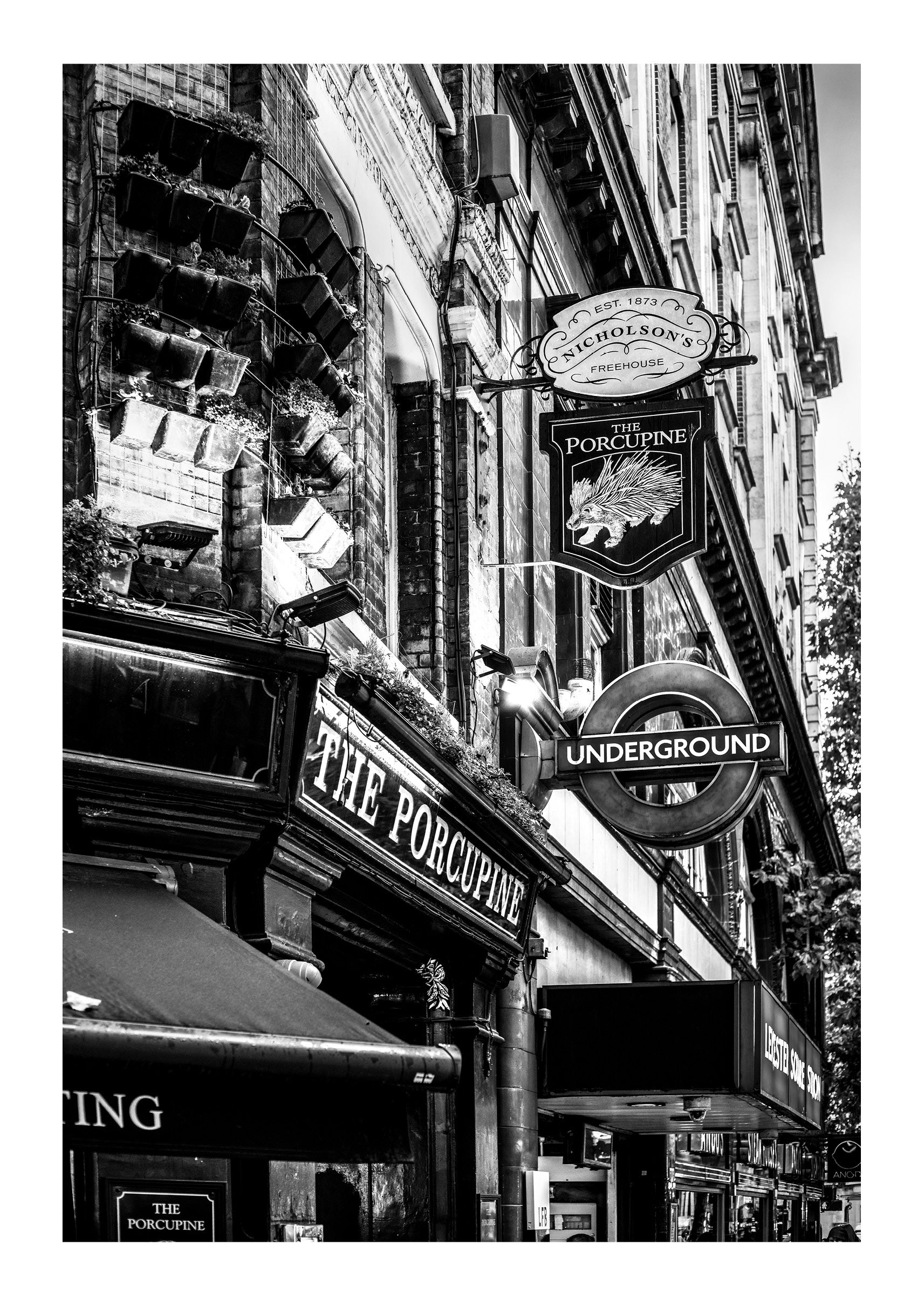 Signage at The Porcupine