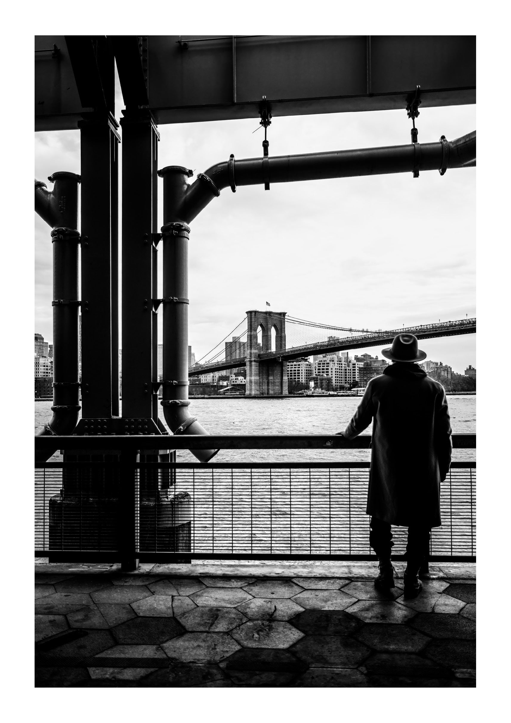 Waterfront Marvel