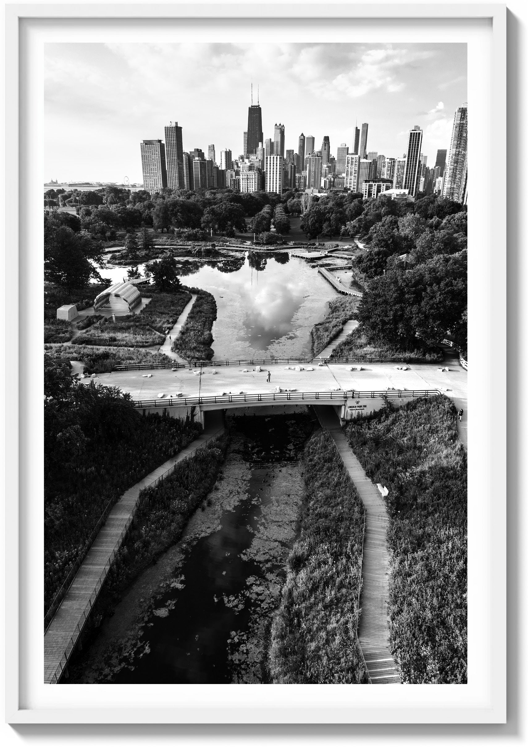 Springtime in Chicago