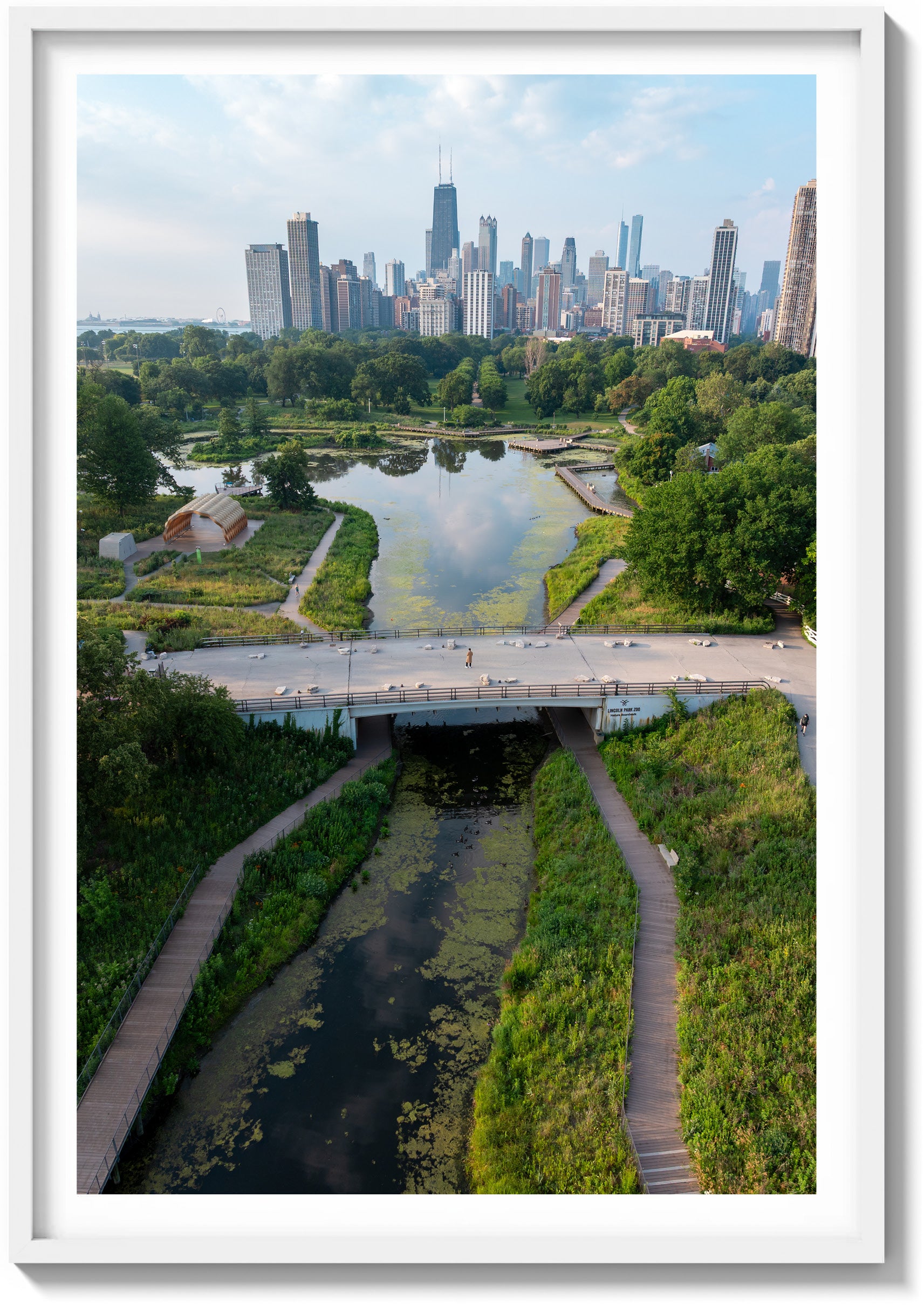 Springtime in Chicago