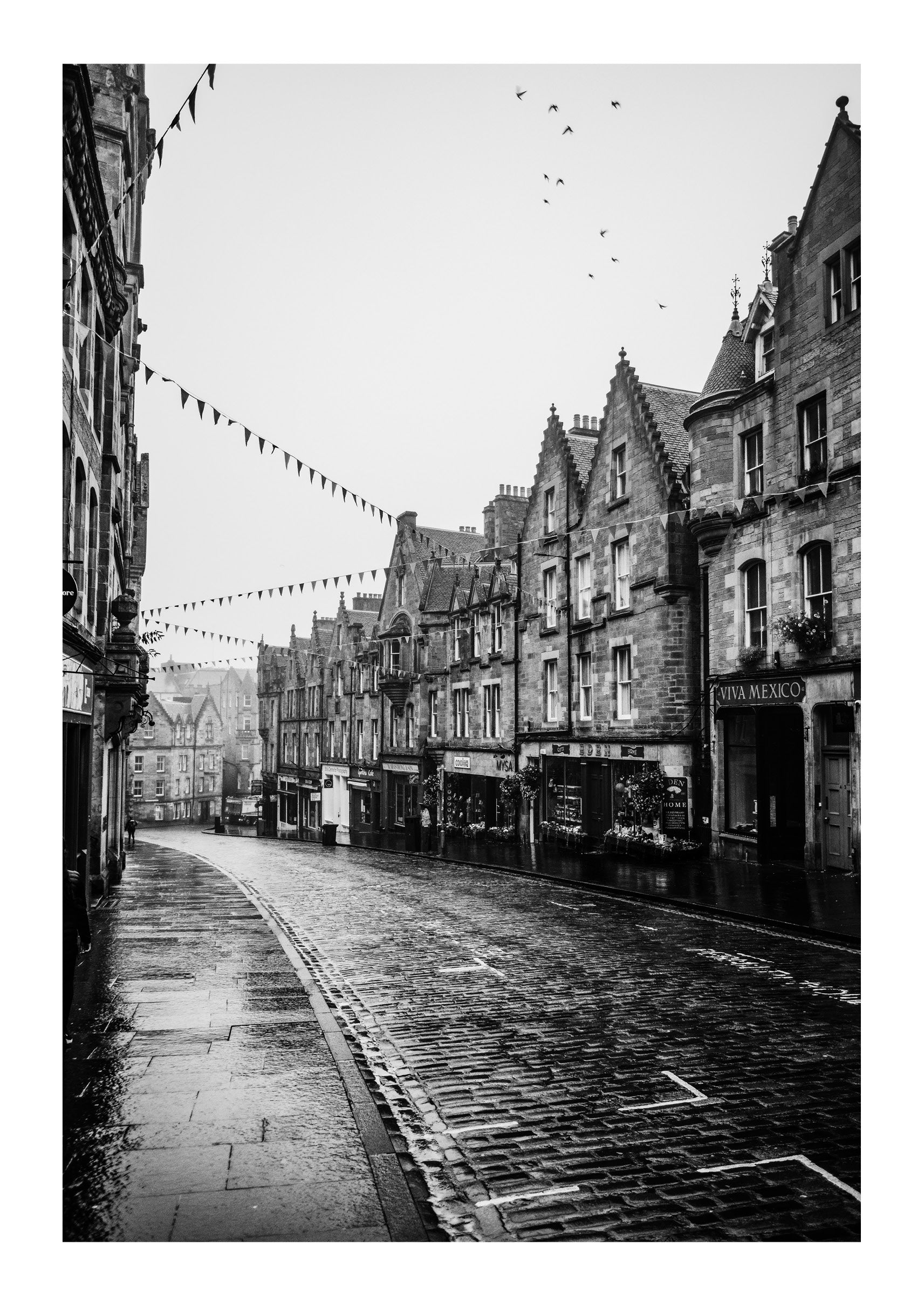 Morning Stroll on Cockburn St.