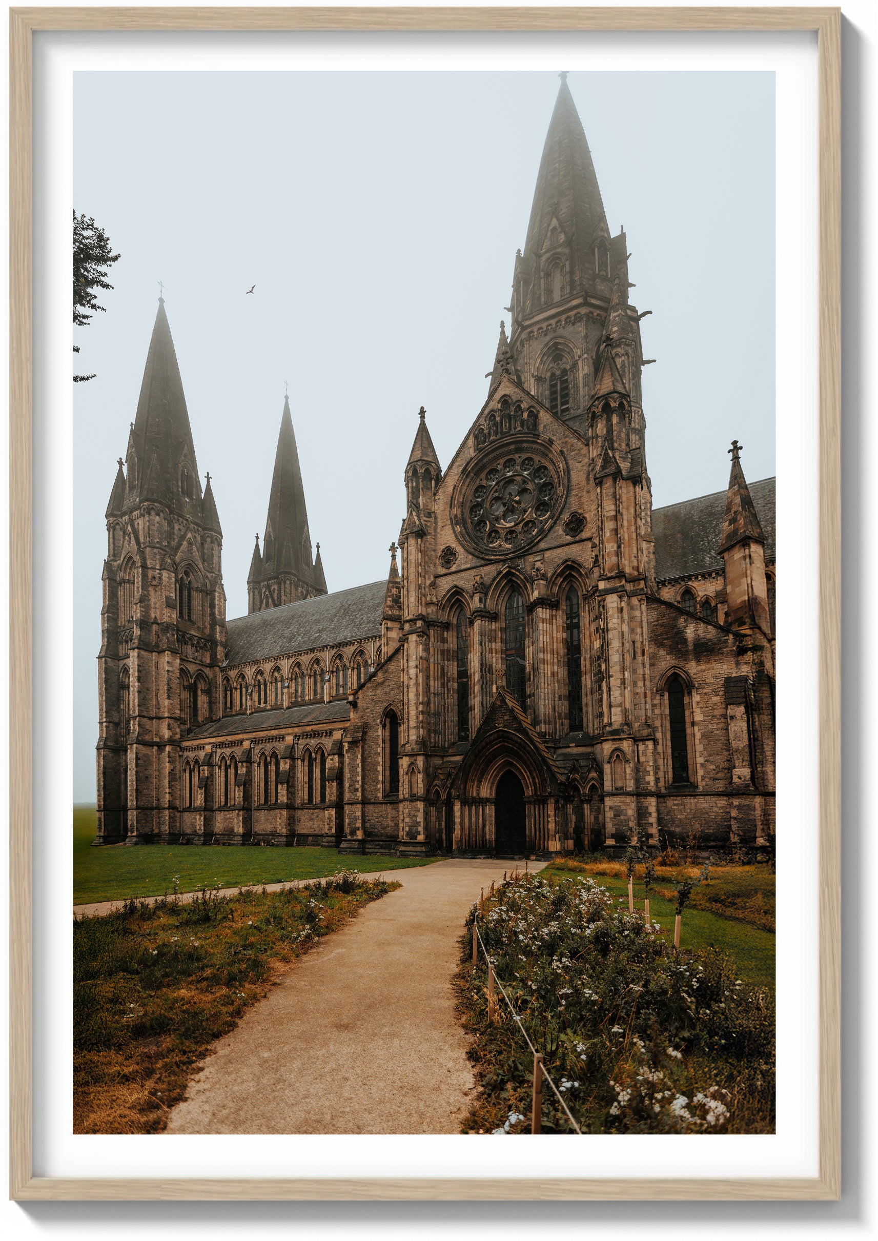 Stillness at St. Mary’s