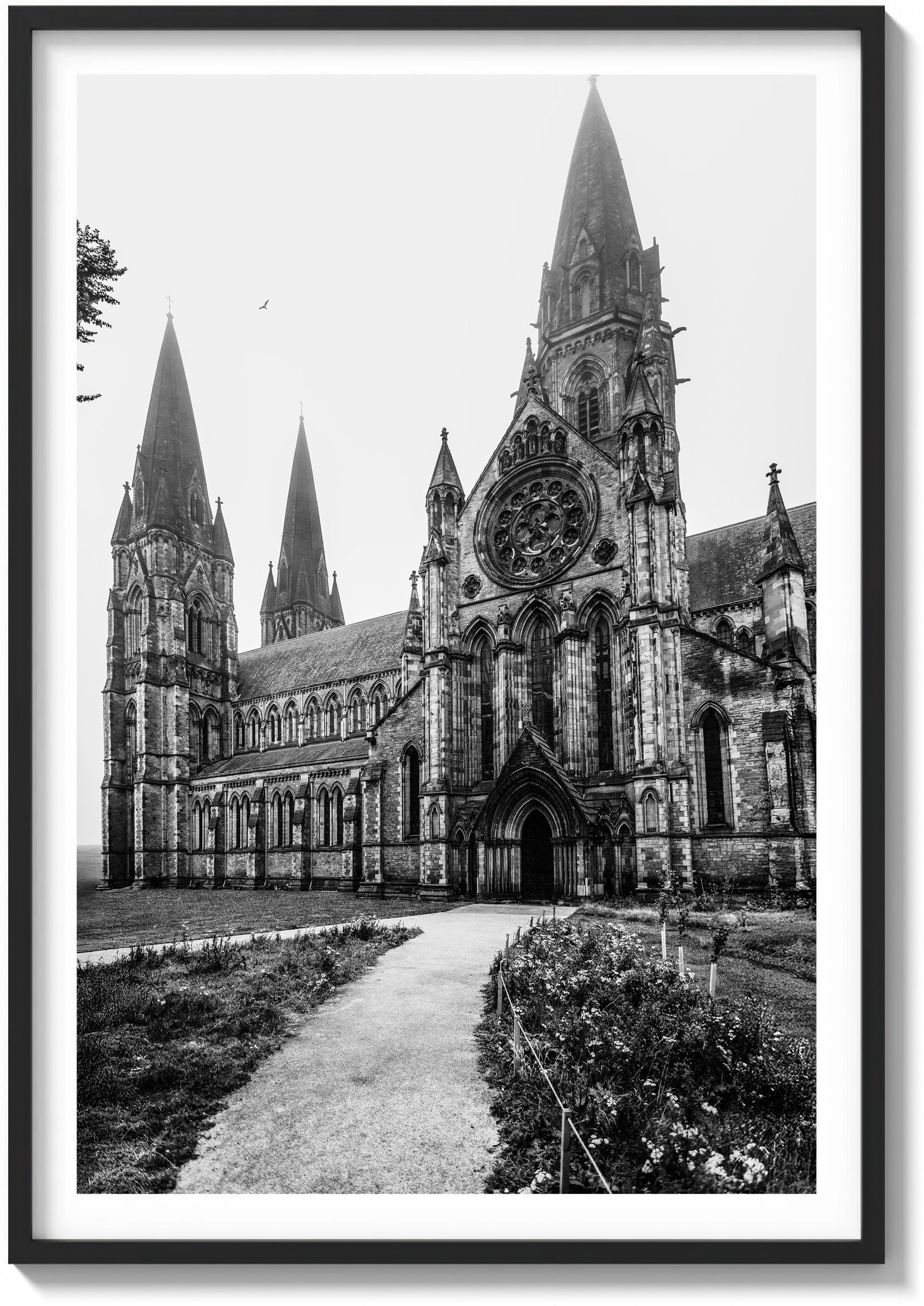 Stillness at St. Mary’s