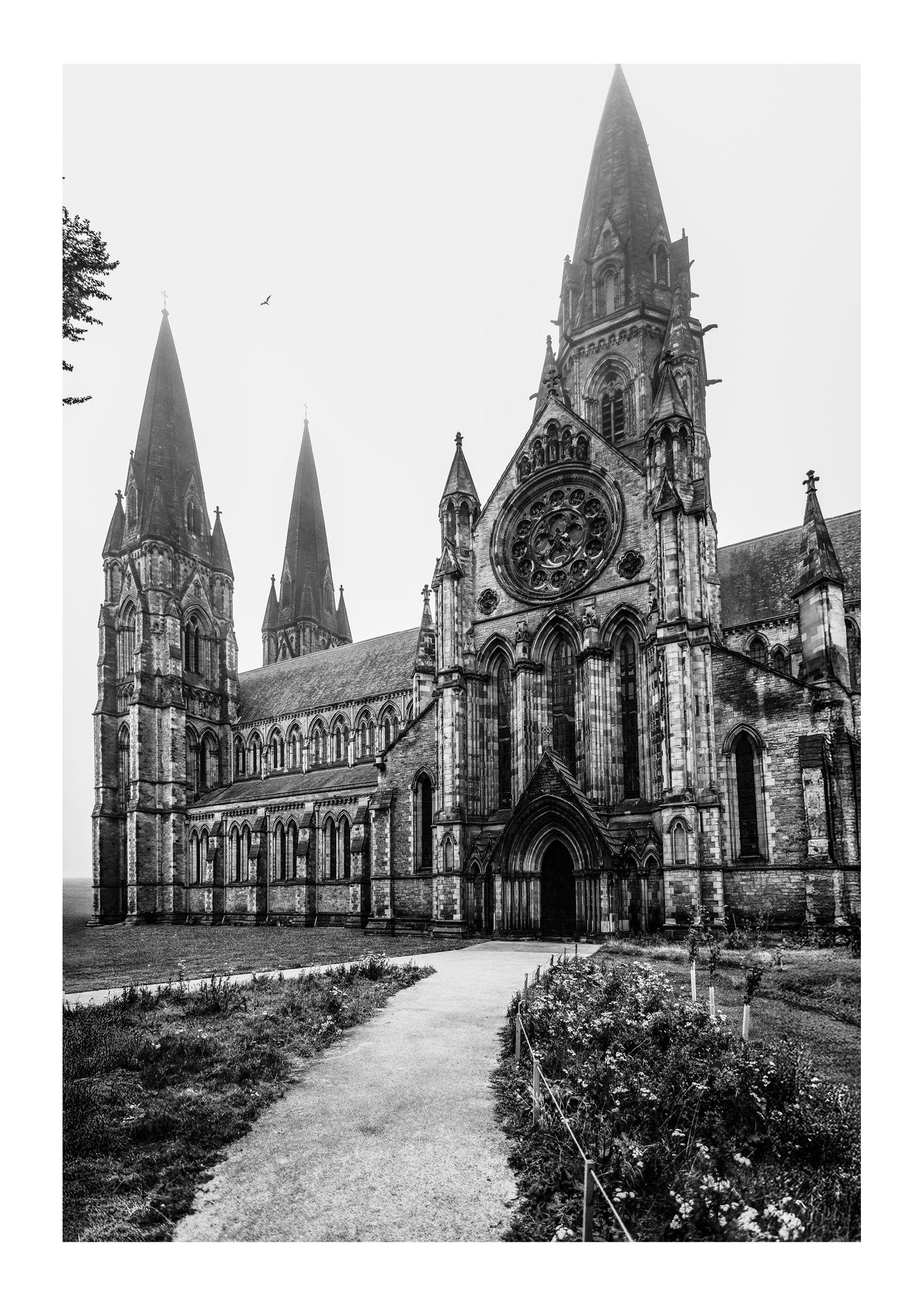 Stillness at St. Mary’s