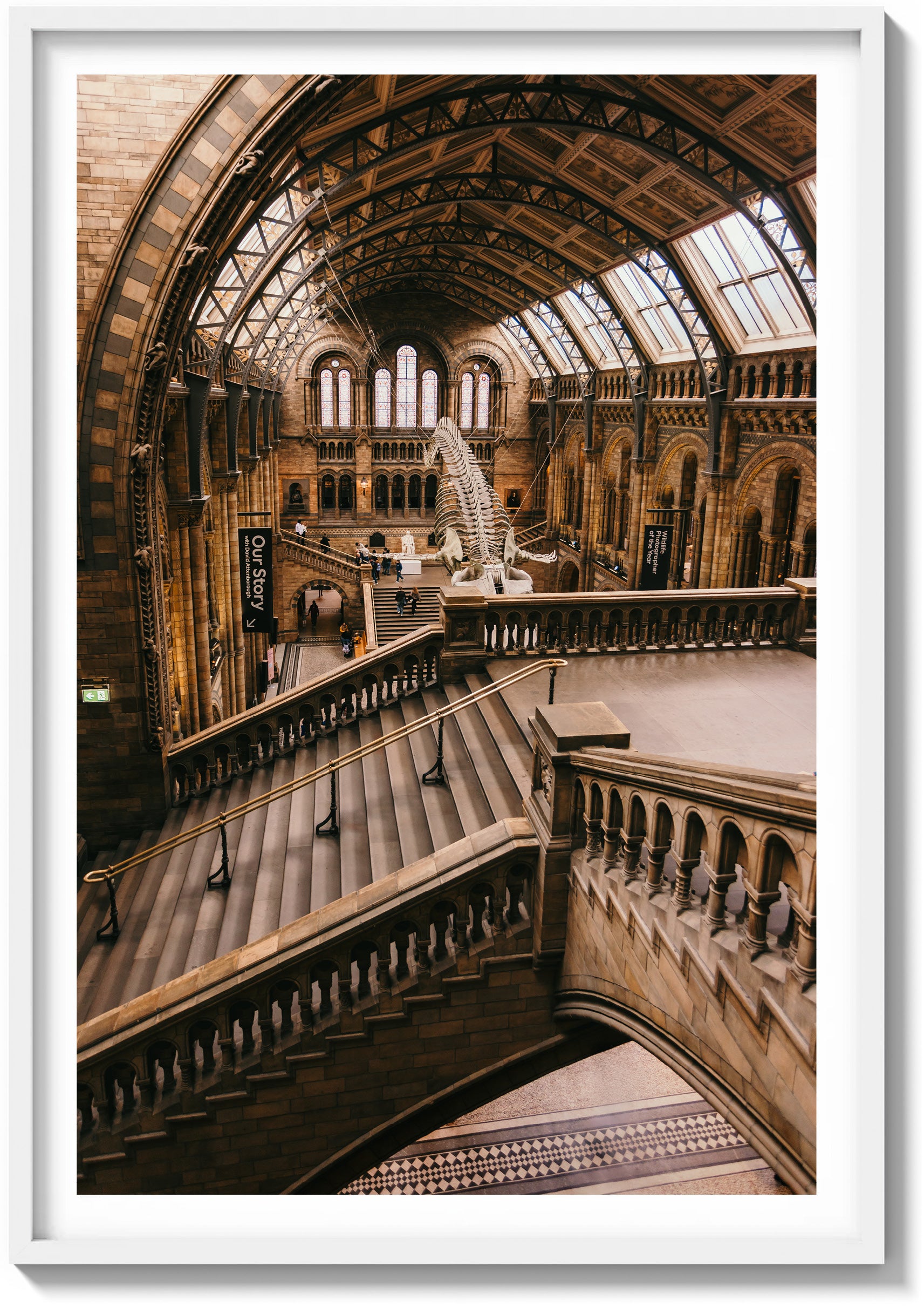 Natural History Museum