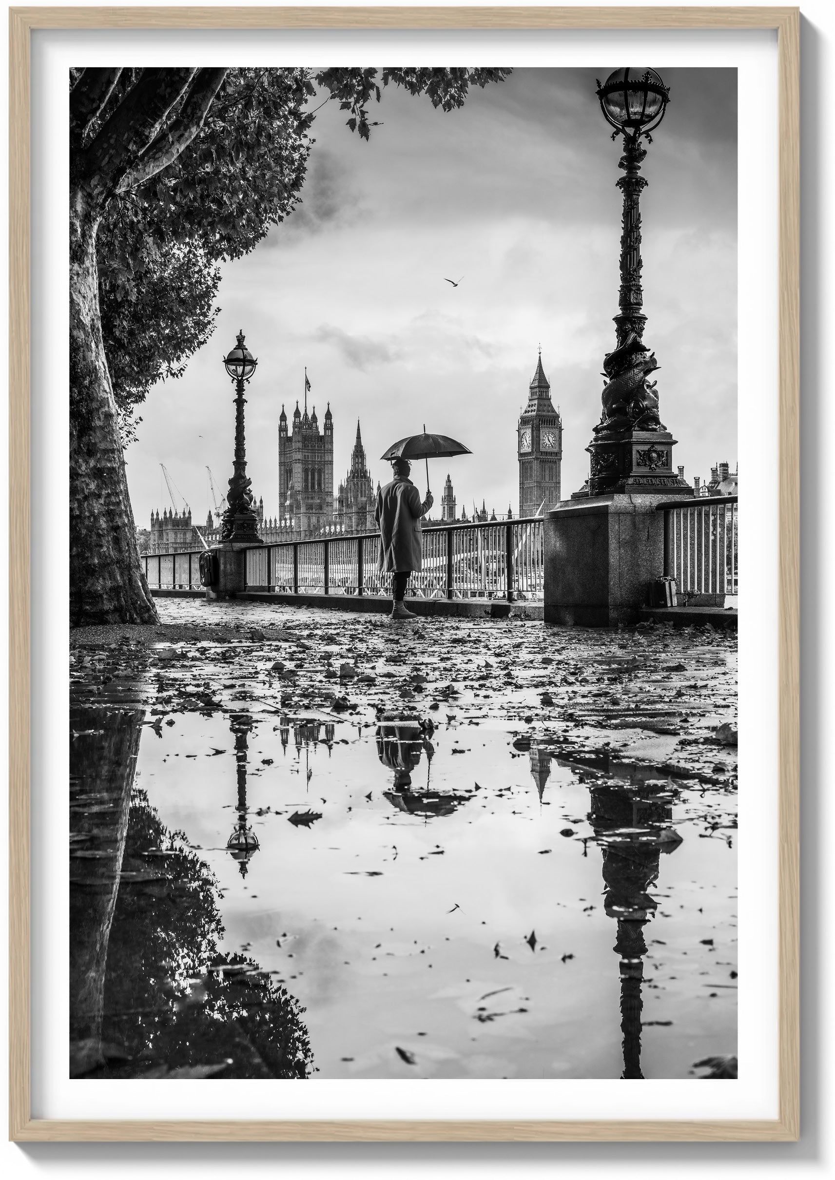 Riverwalk Reflections