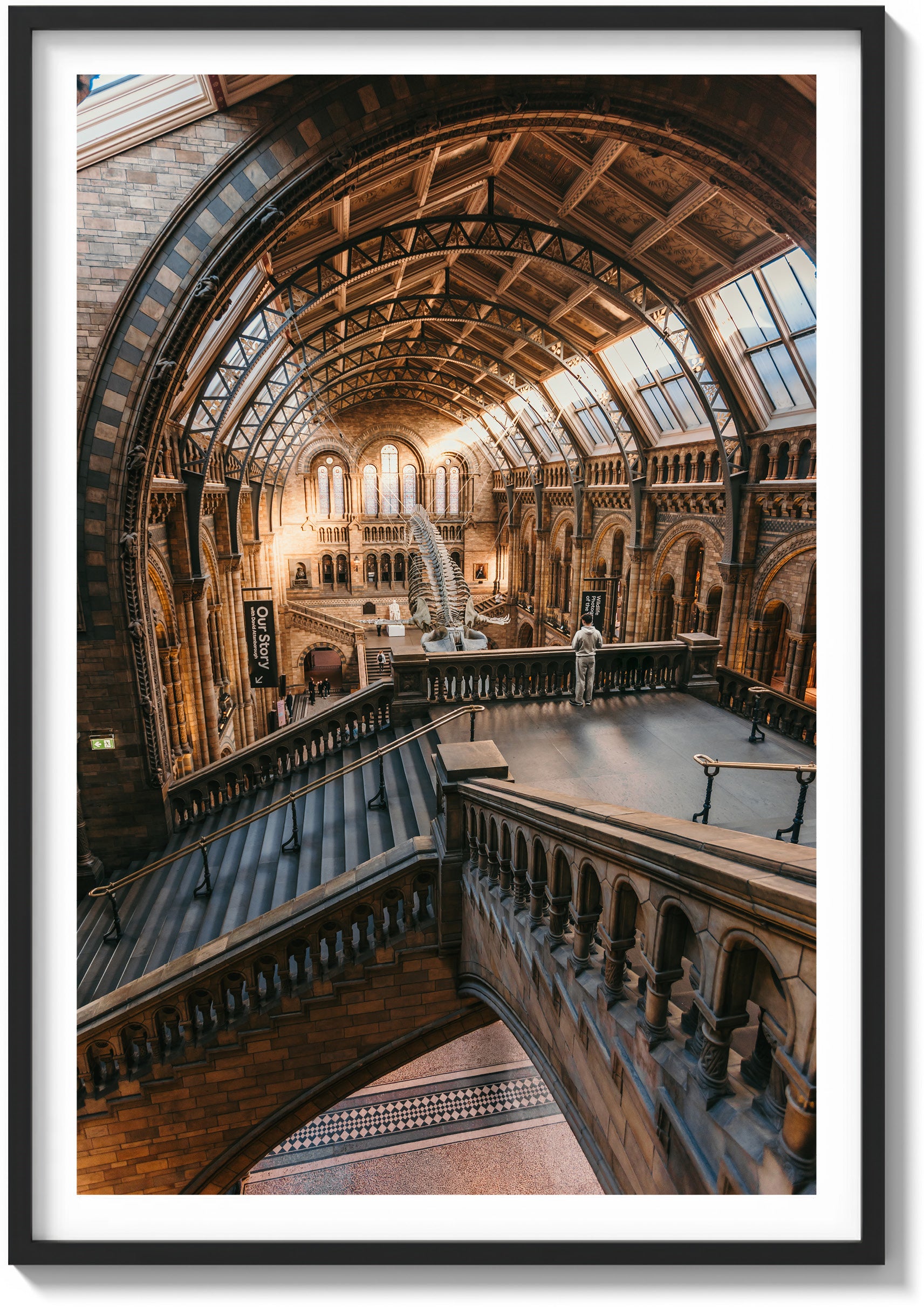 First Light at the Museum