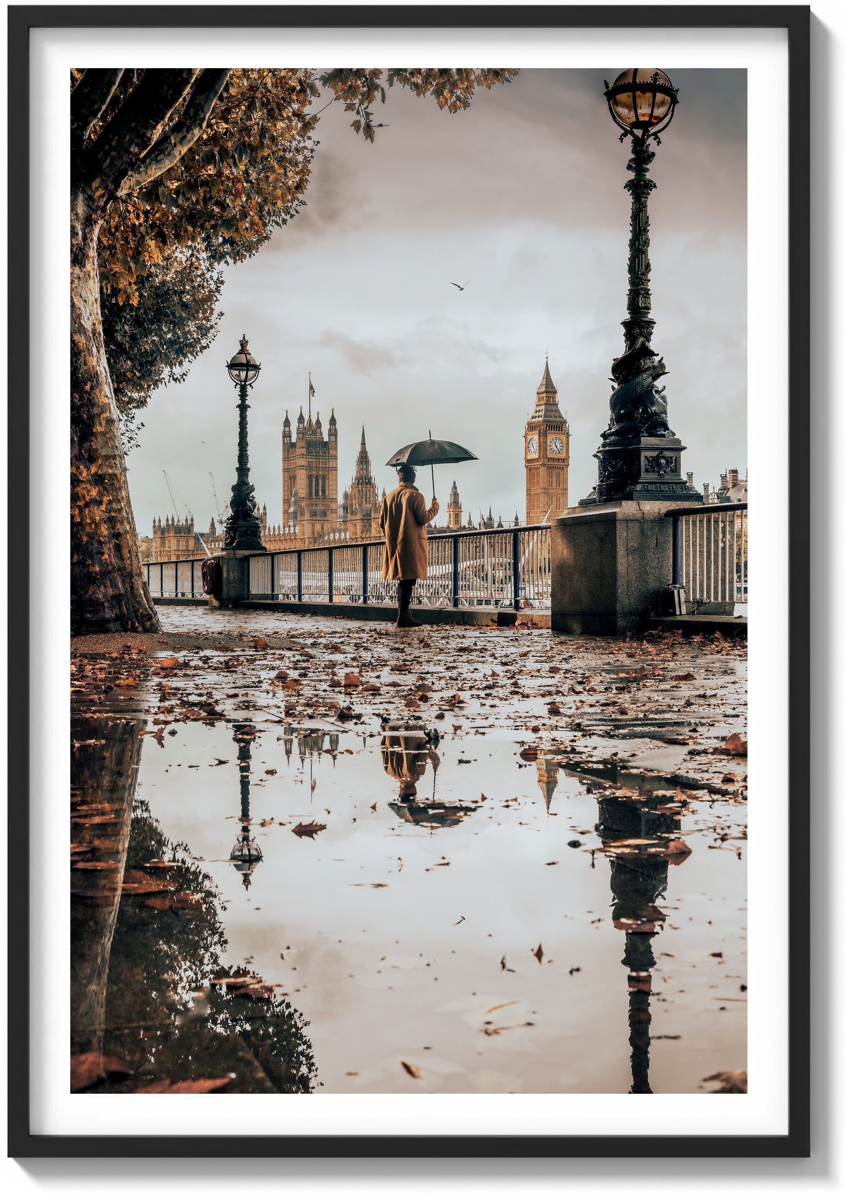 Riverwalk Reflections