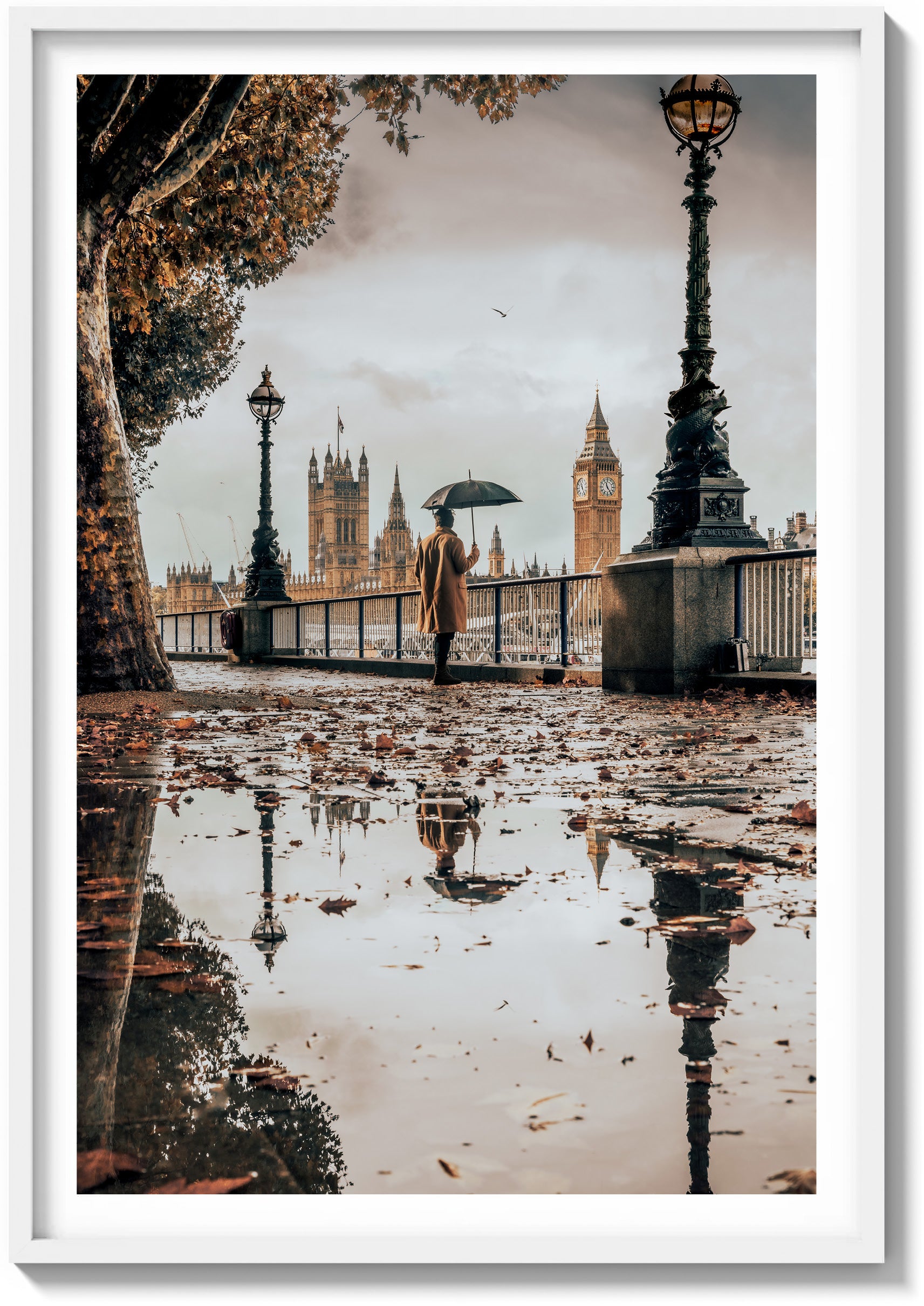 Riverwalk Reflections