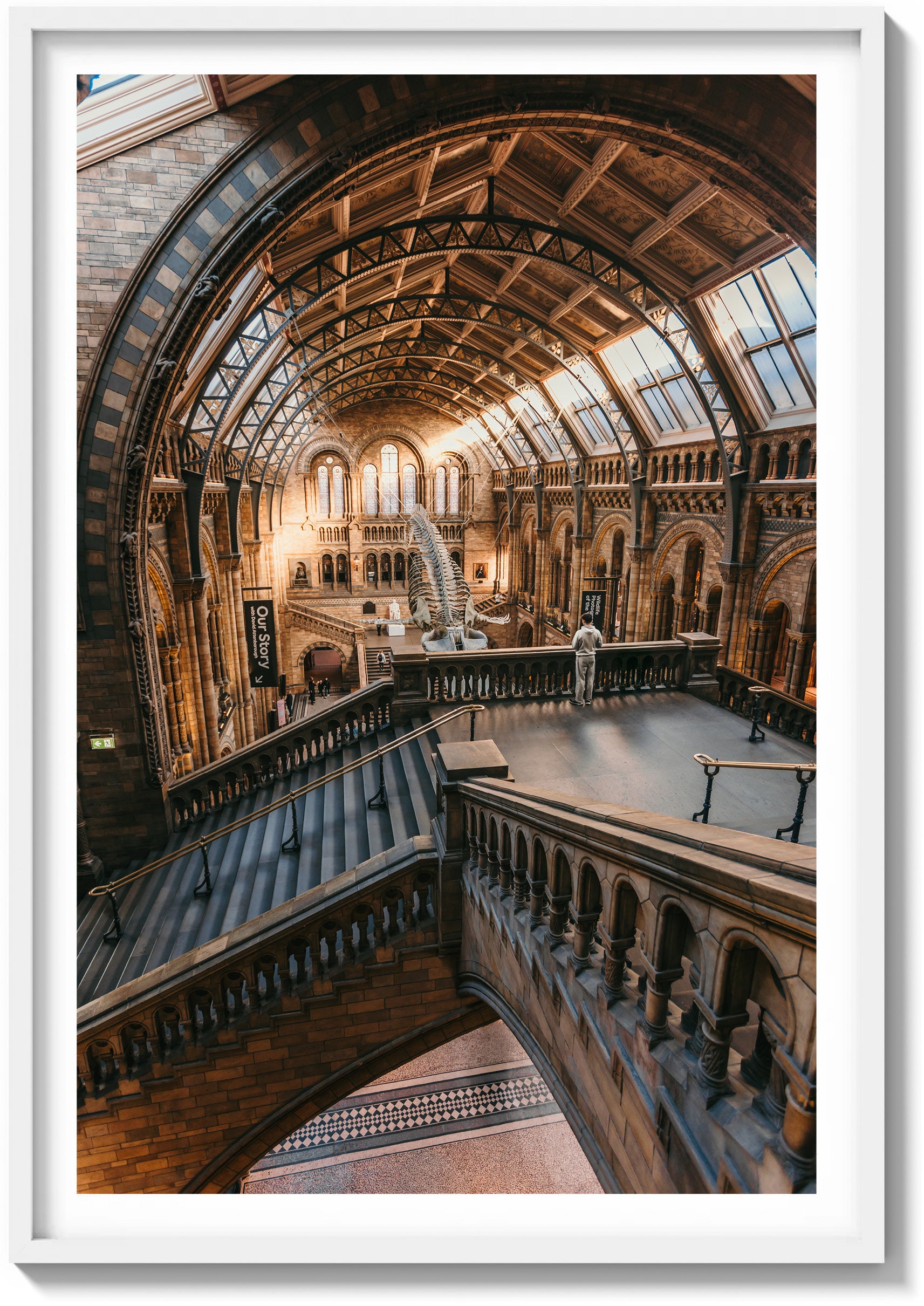 First Light at the Museum