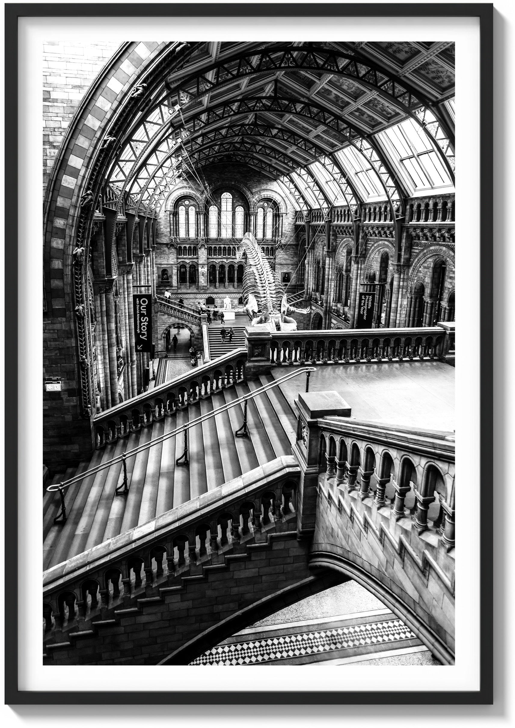 Natural History Museum