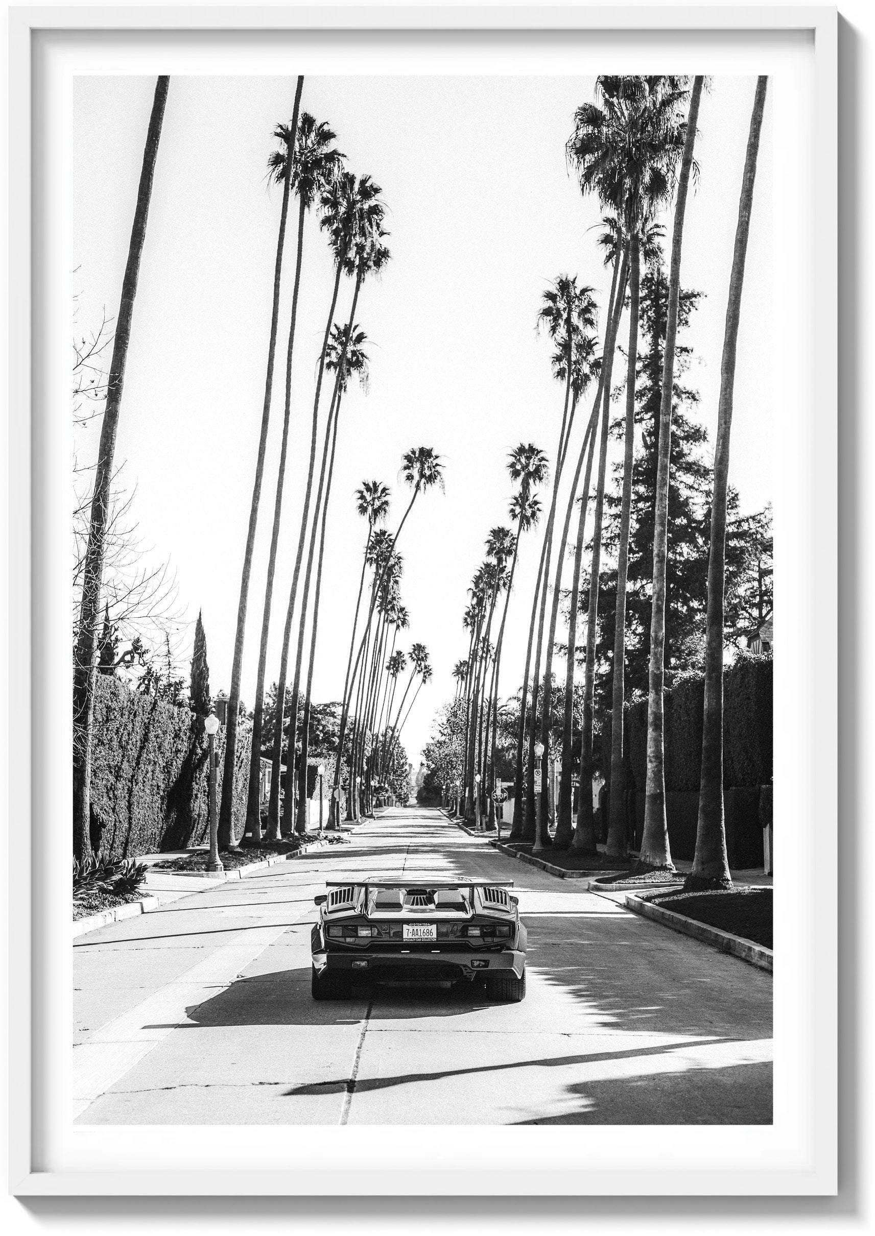 Beverly Hills Perfection