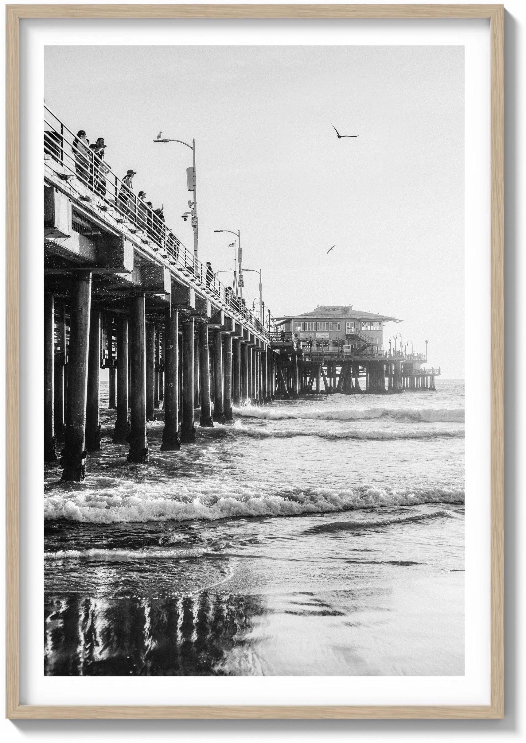 Santa Monica Sun