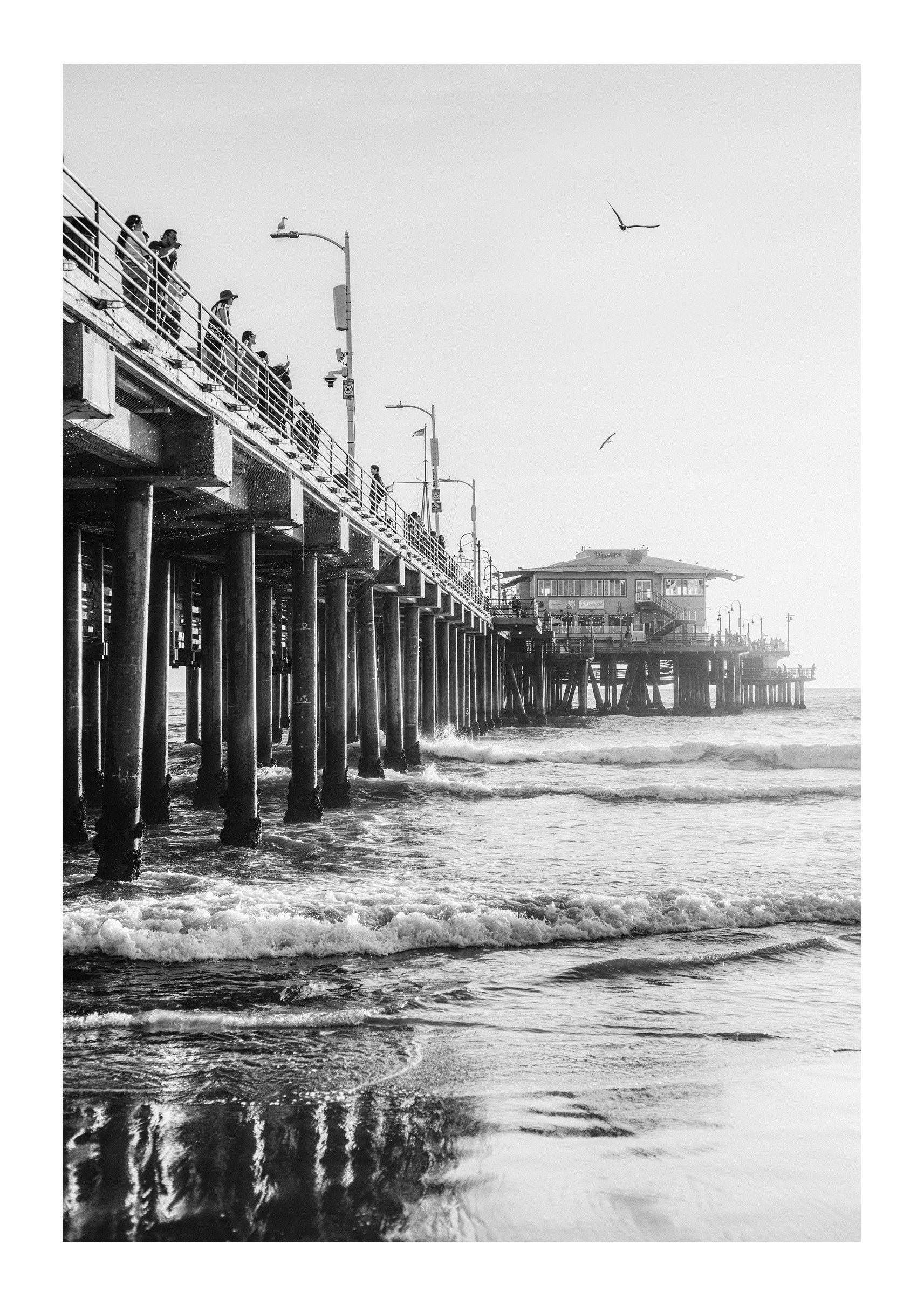 Santa Monica Sun
