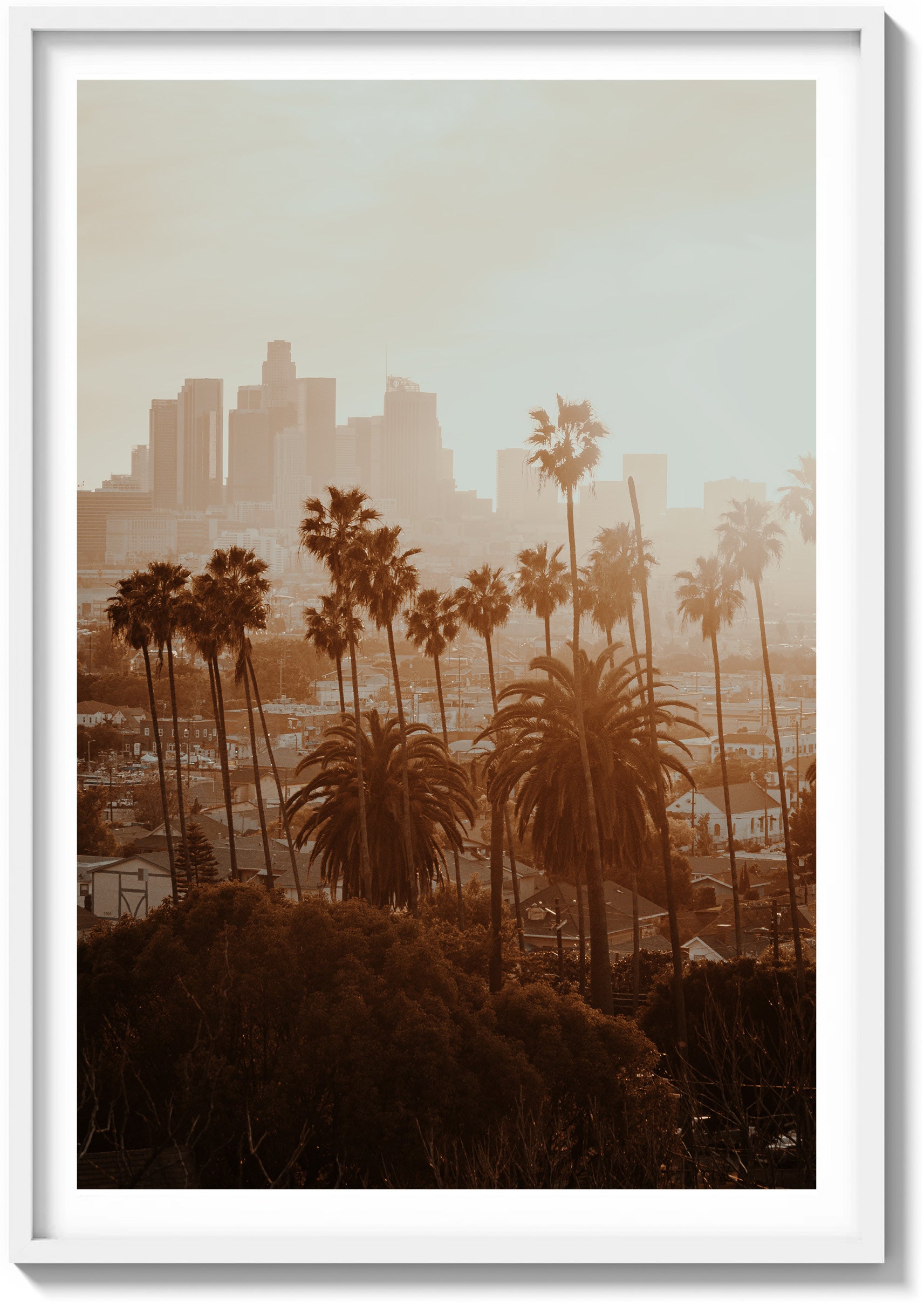 LA Haze