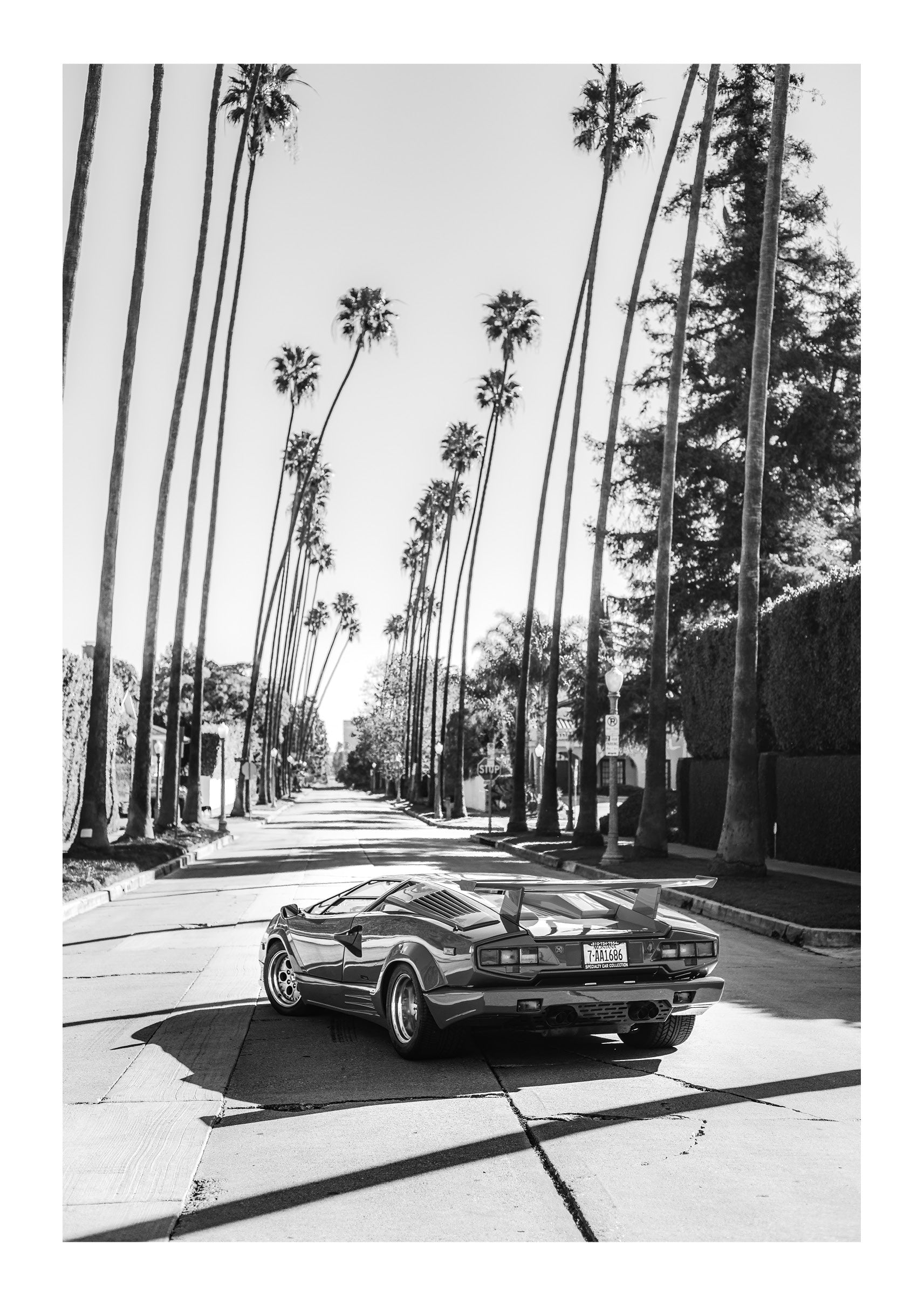 Dream Ride