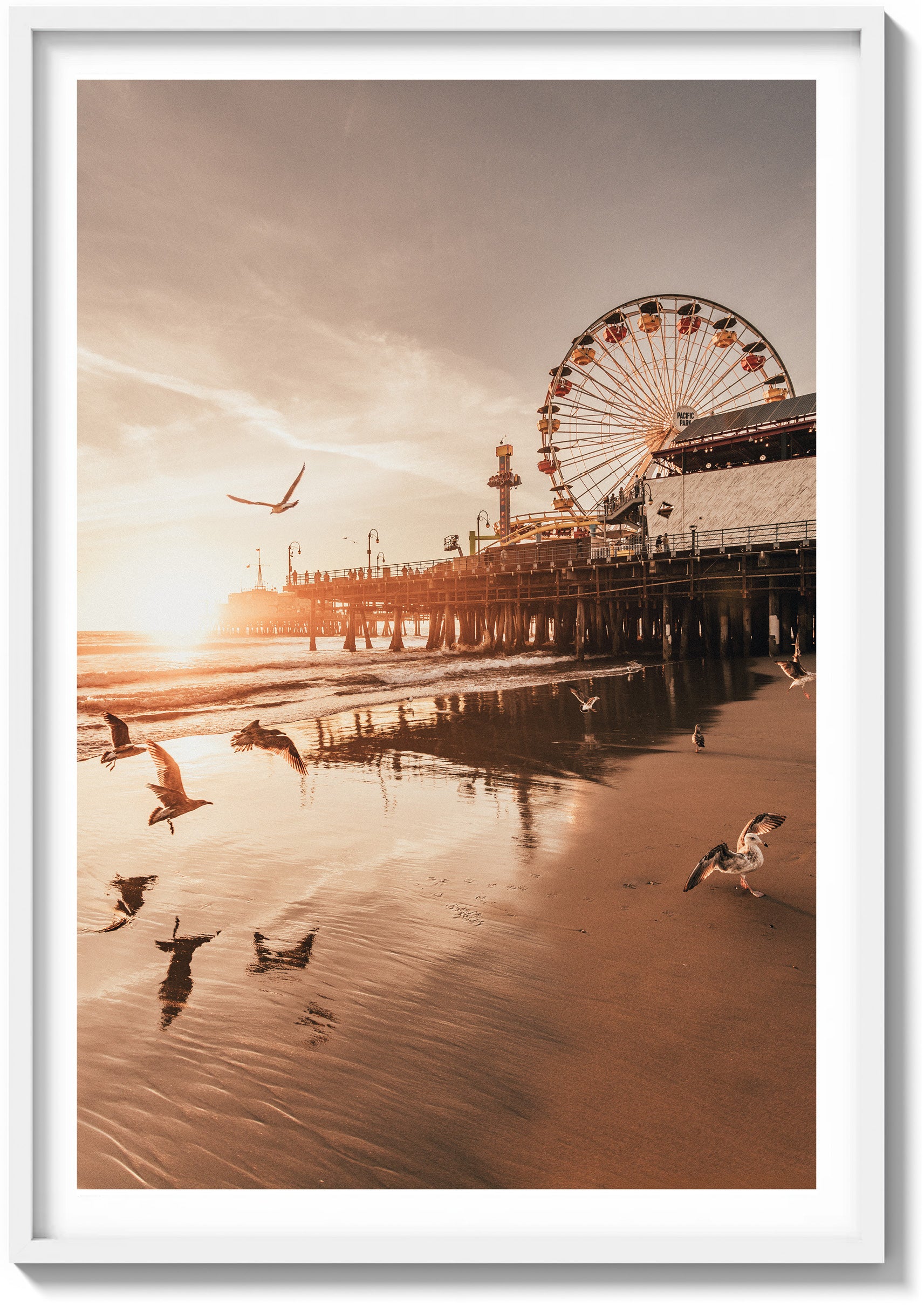 Santa Monica Serenity