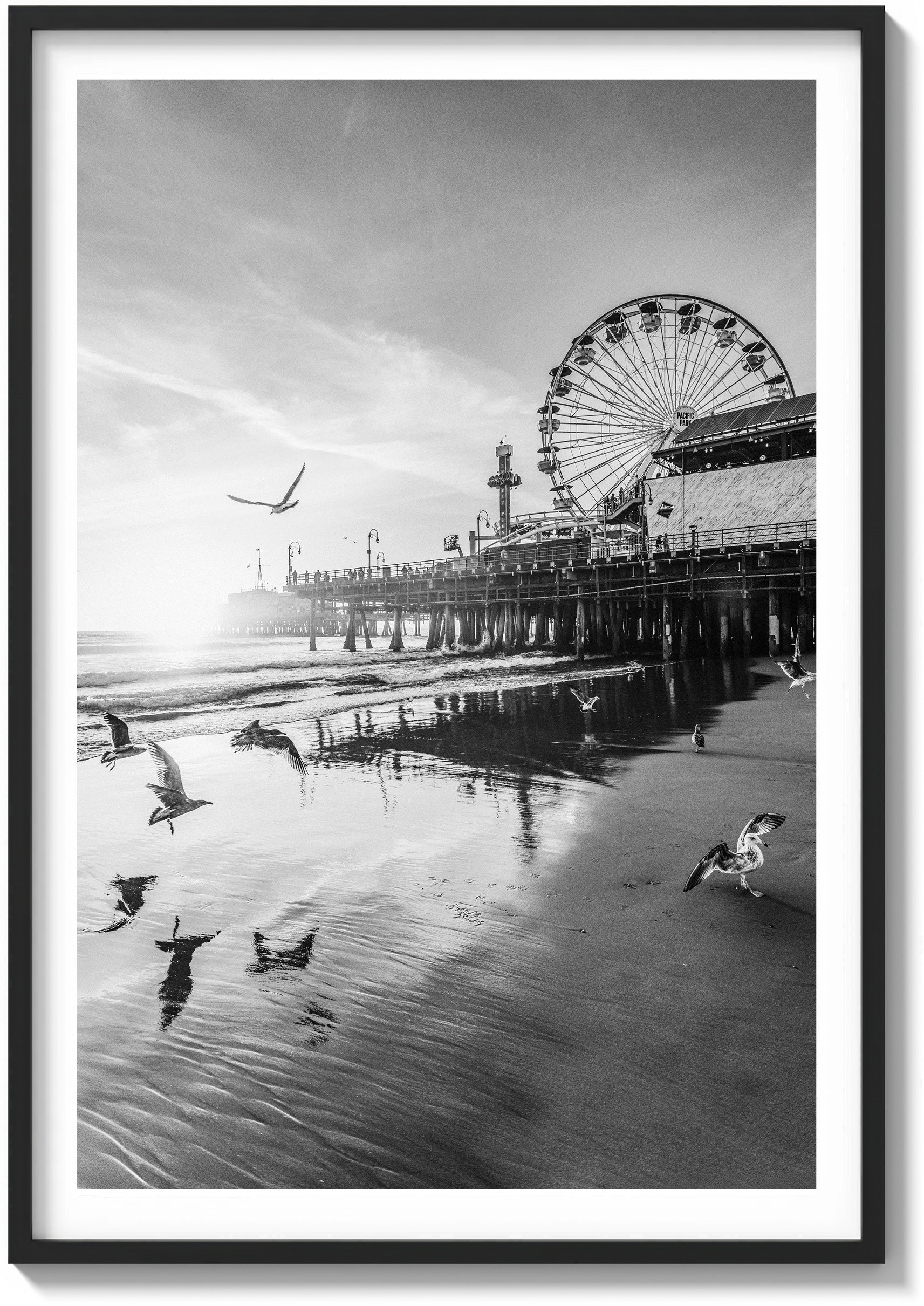Santa Monica Serenity